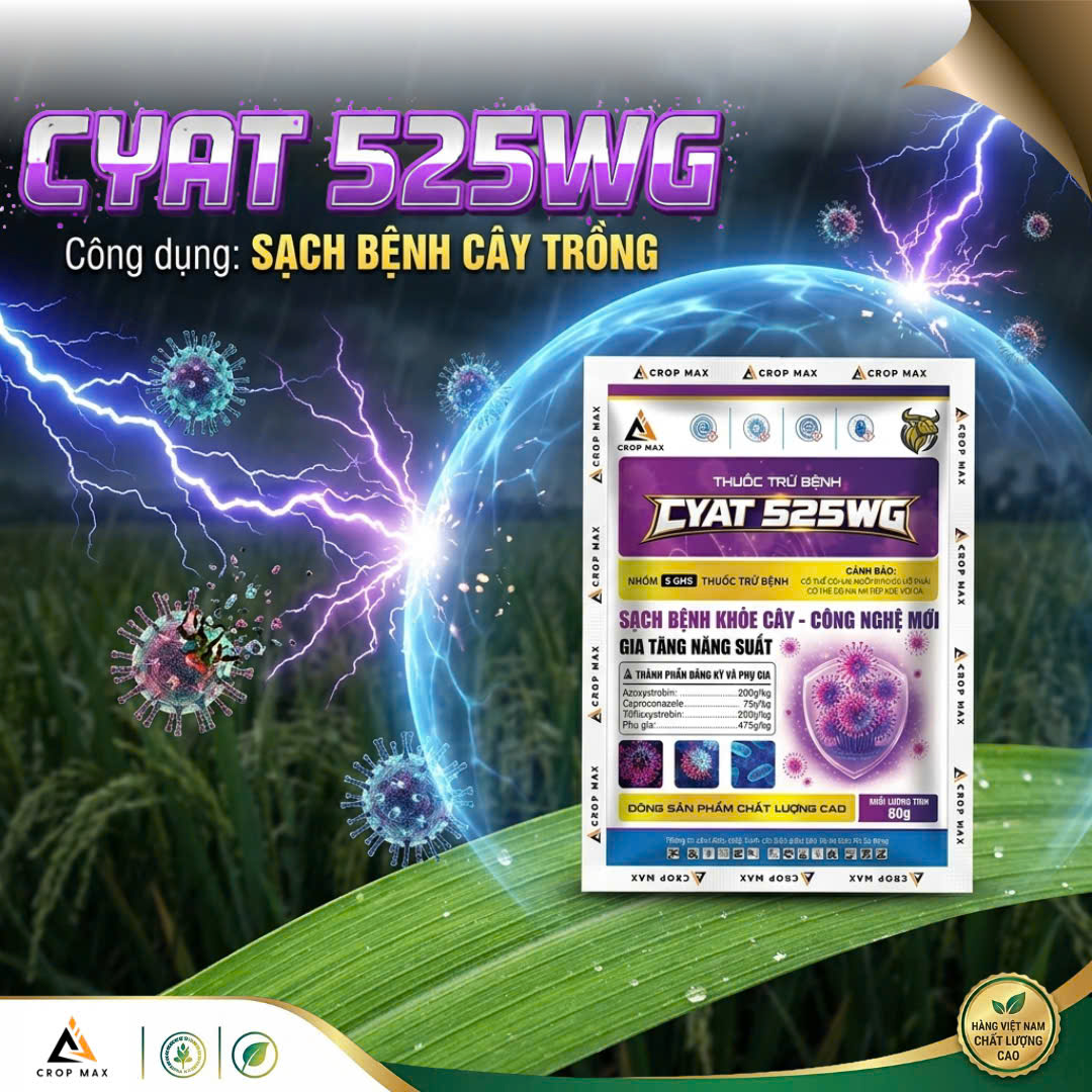 CYAT 525WG – Thuốc trừ bệnh phổ rộng, sạch bệnh nhanh, phục hồi cây mạnh_thumbnail_2