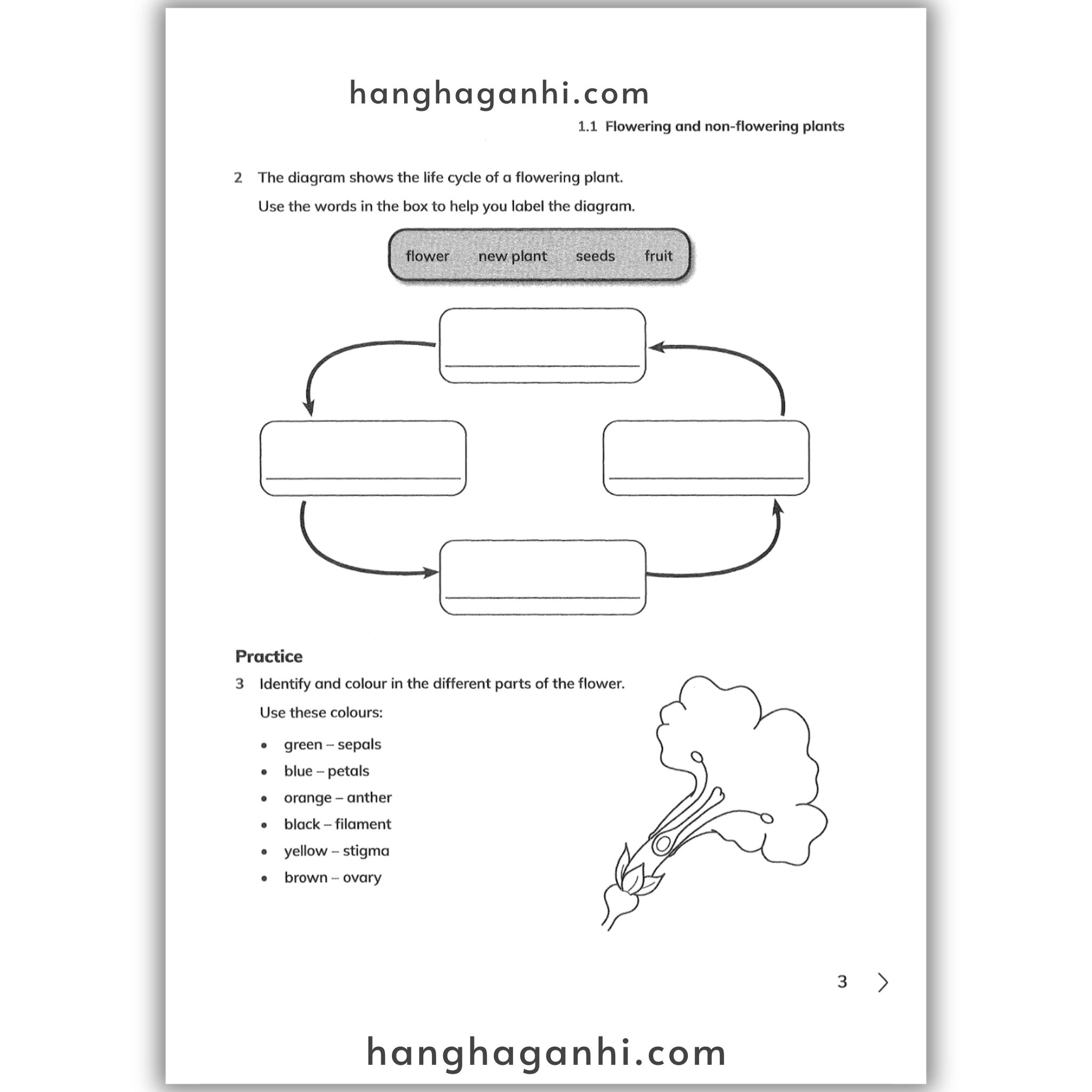 Cambridge Level 5 Primary Science Learner’s Book and Workbook 2nd edition 2021_thumbnail_8