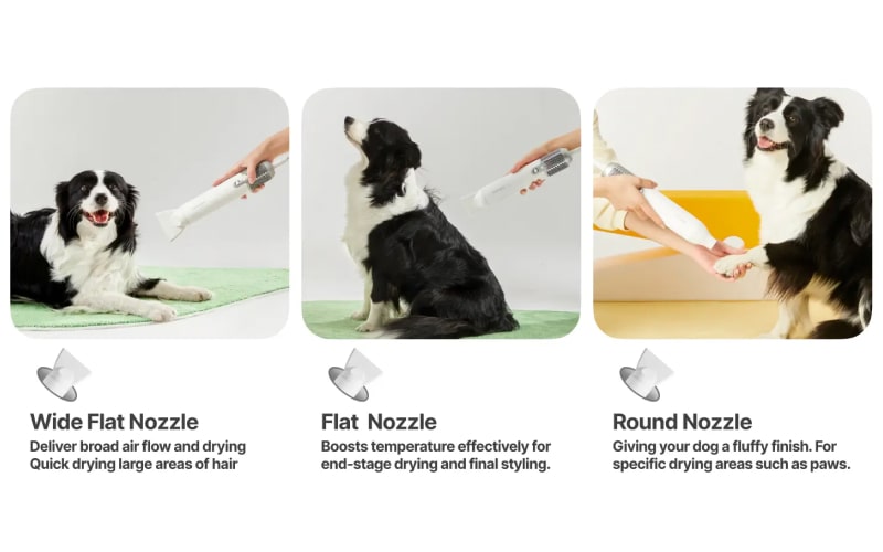 Neakasa F1 pet hair dryer