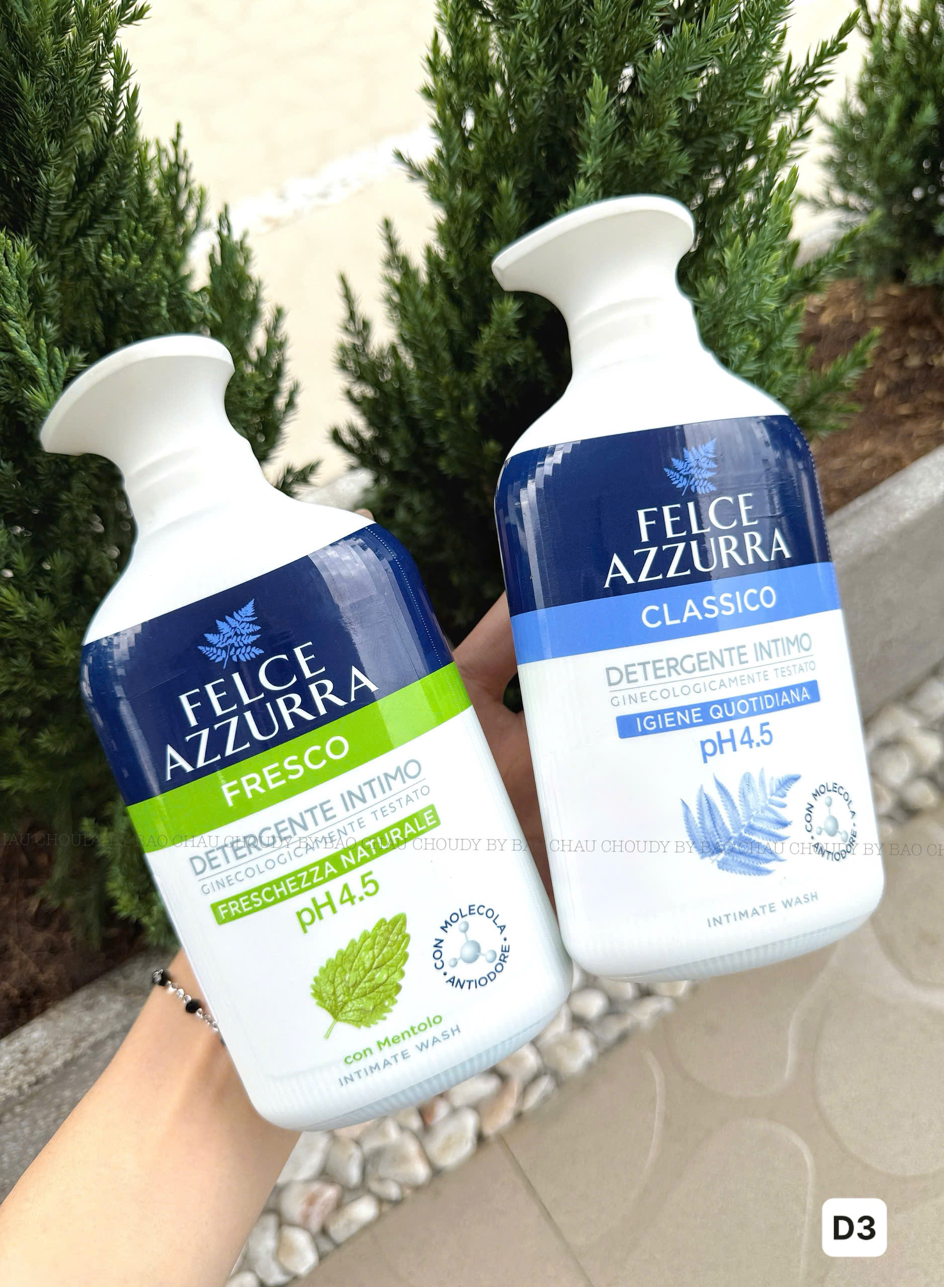 D3 DDVS 2 MÀU_thumbnail_4