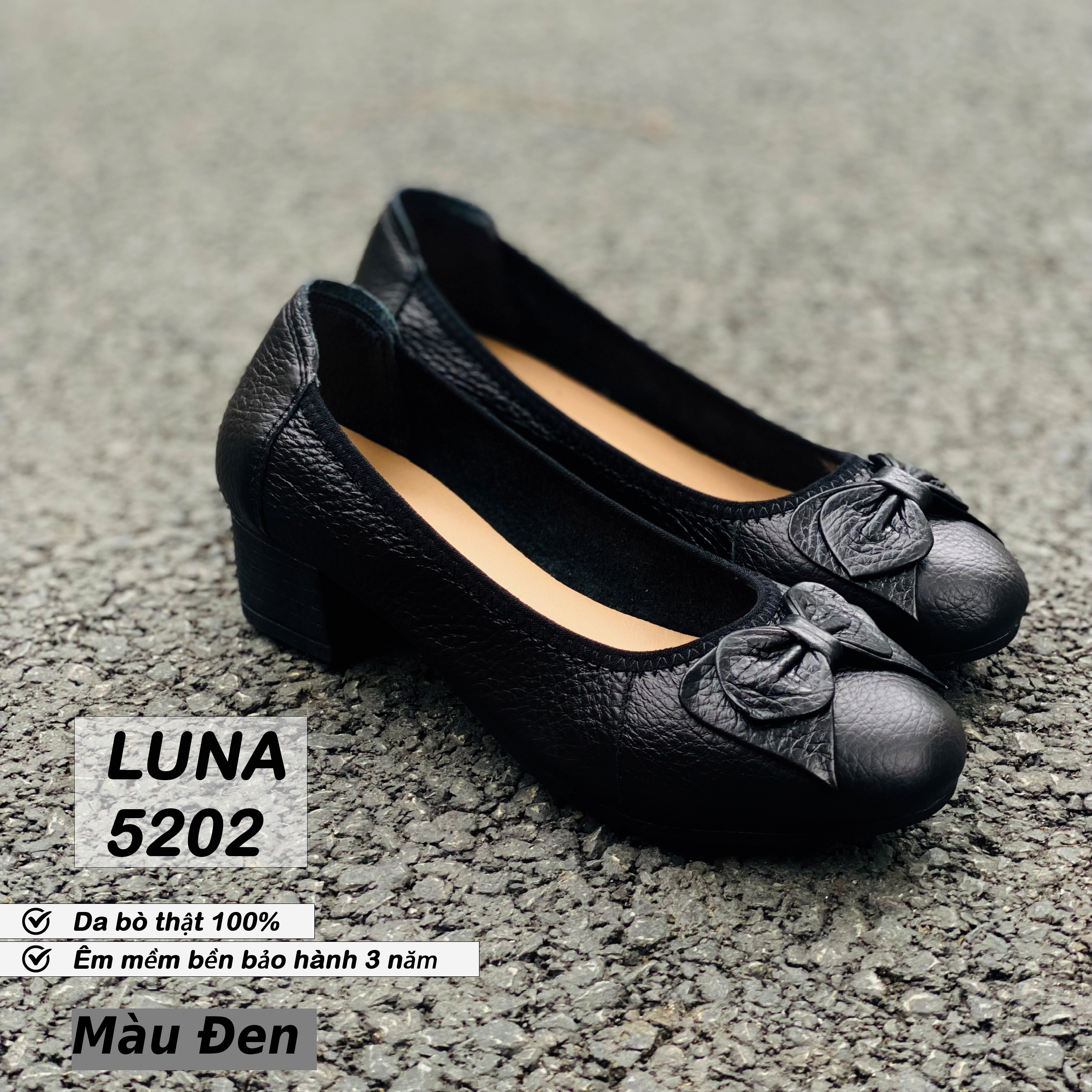 Luna 5202