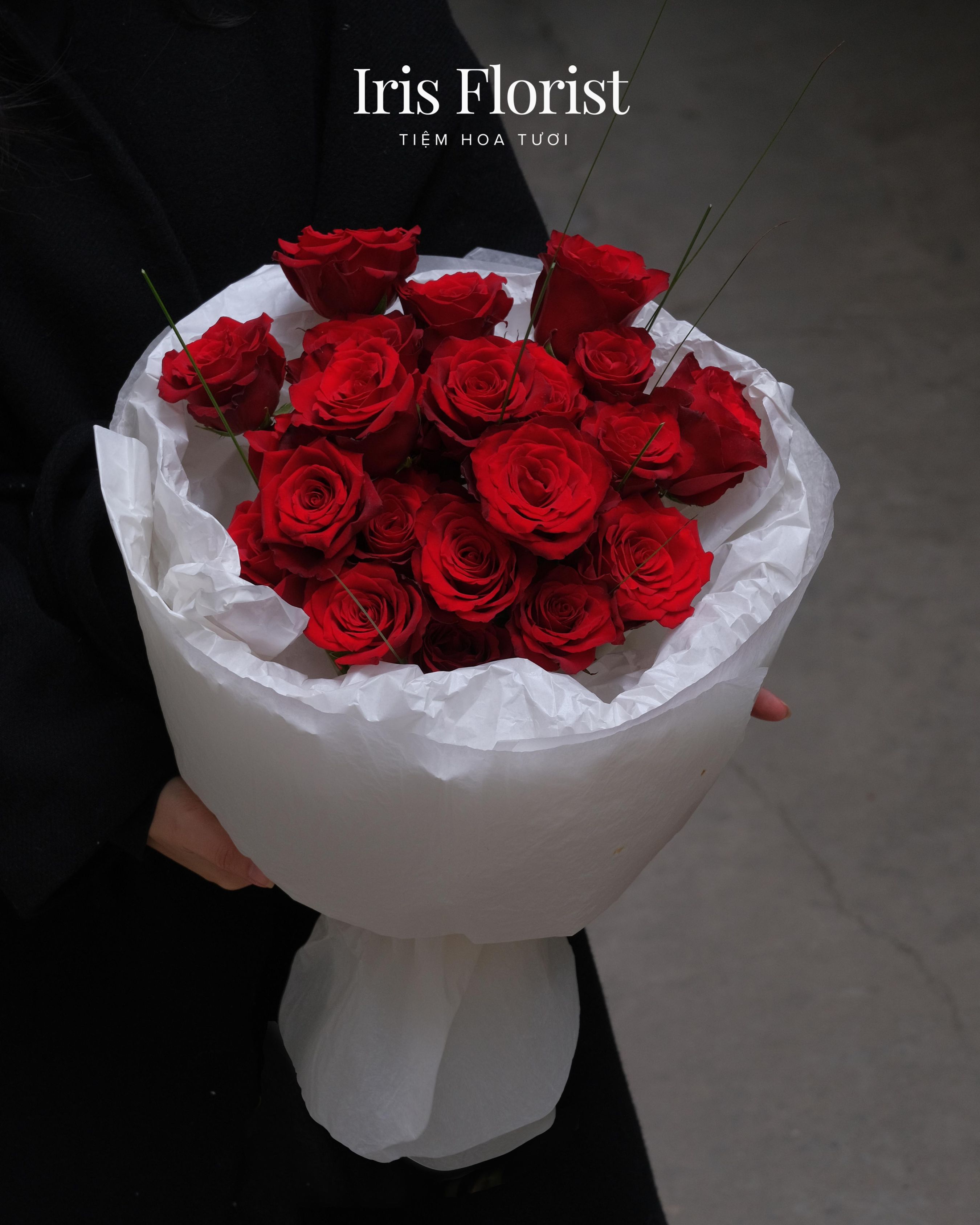 Bó Hồng đỏ Explorer Đà Lạt mix Cỏ thép