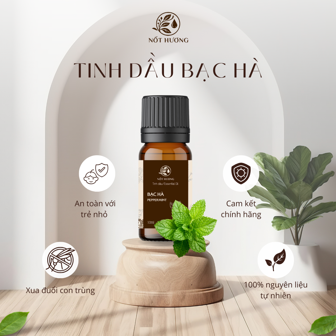 Tinh dầu Bạc Hà