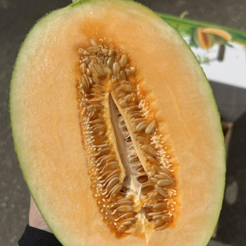 Dưa Lưới Đài Loan (WOW-N1F)_thumbnail_1