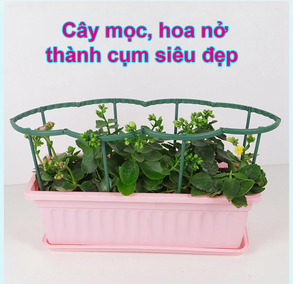 Khung Đỡ Bảo Vệ Cây_thumbnail_5
