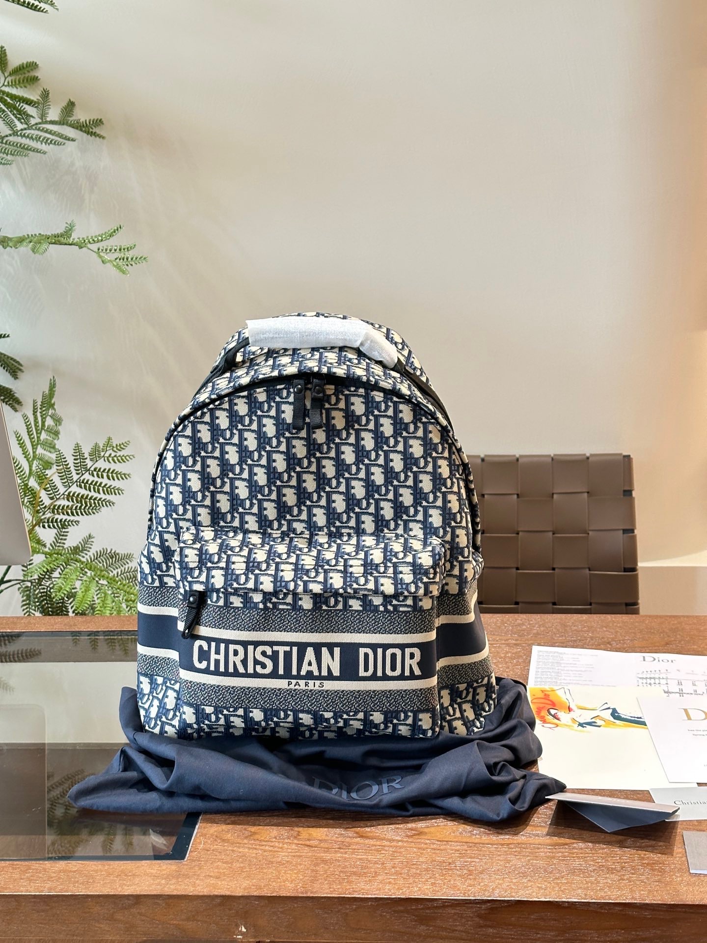 Balo Dior Oblique họa tiết monogram