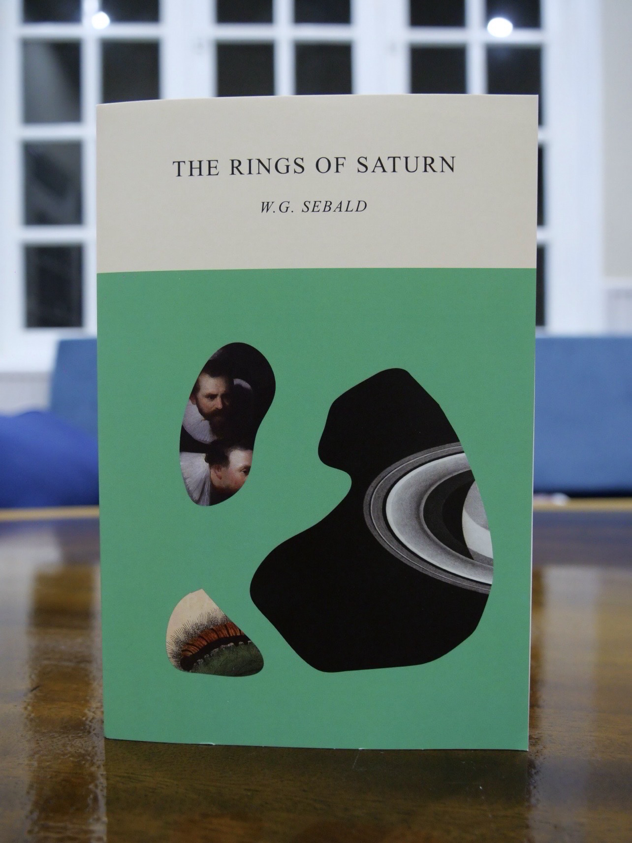 The Rings of Saturn (W. G. Sebald)