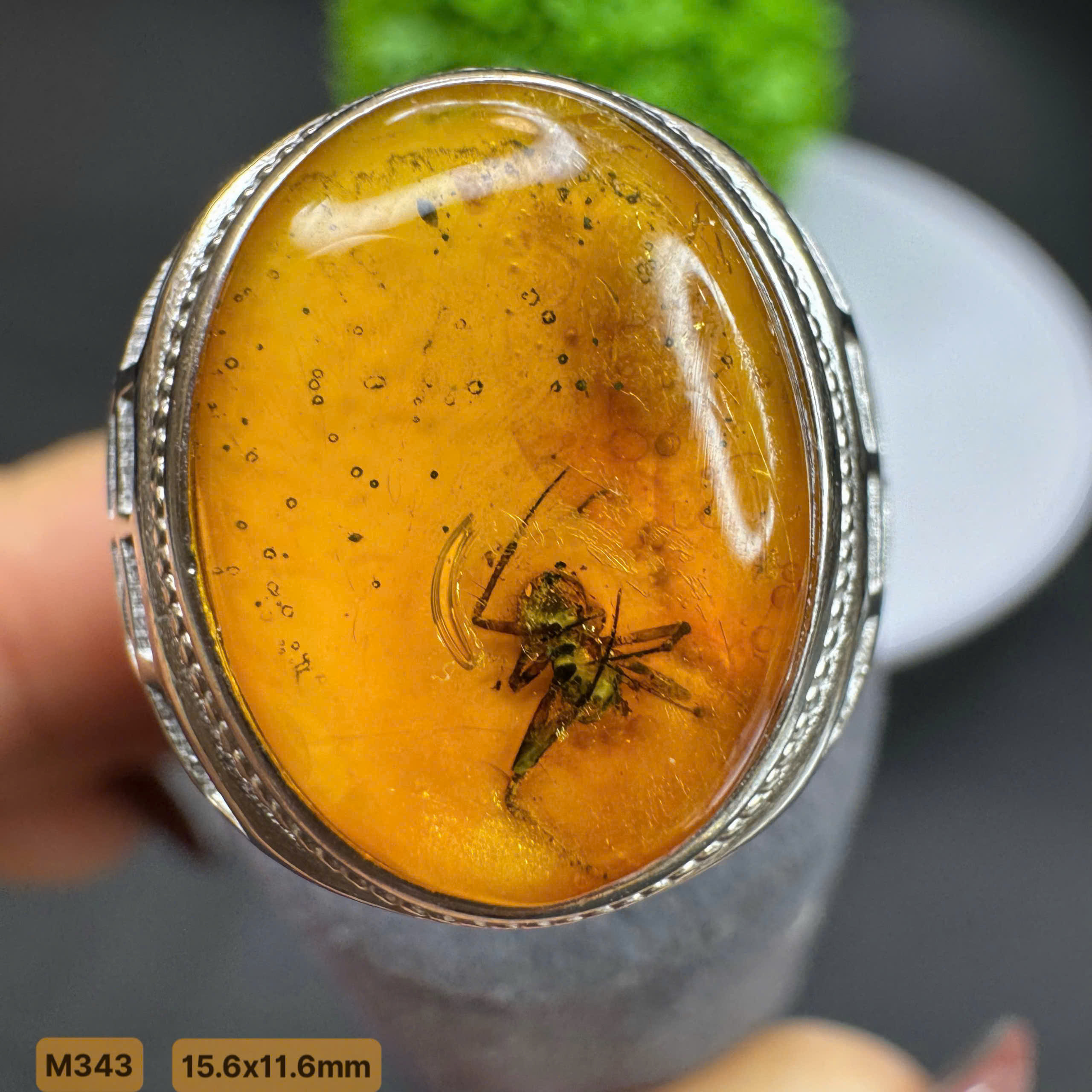 Nhẫn Côn Trùng Nhện Cổ Đại - M343