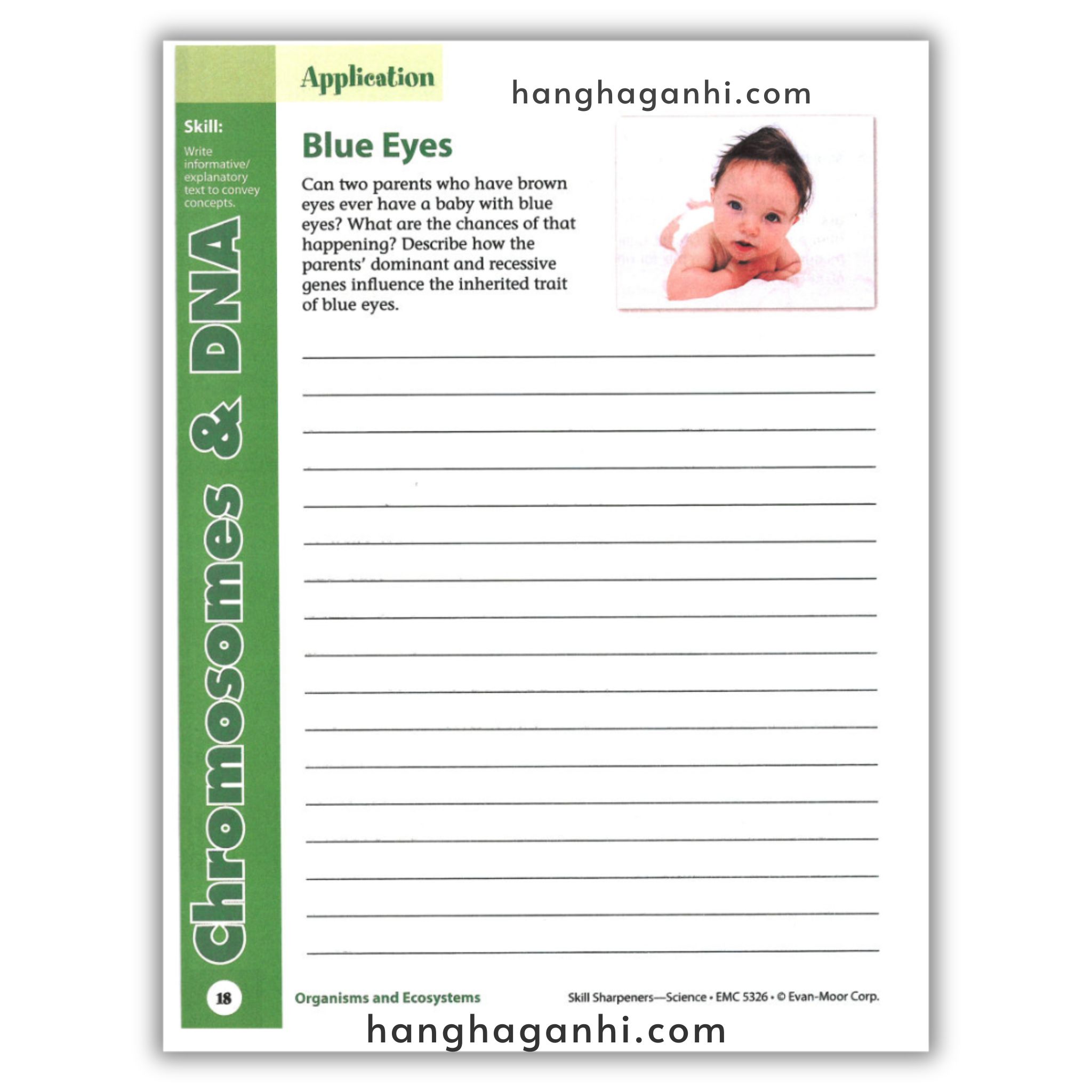 Skill Sharpeners Science Grade 6_thumbnail_3