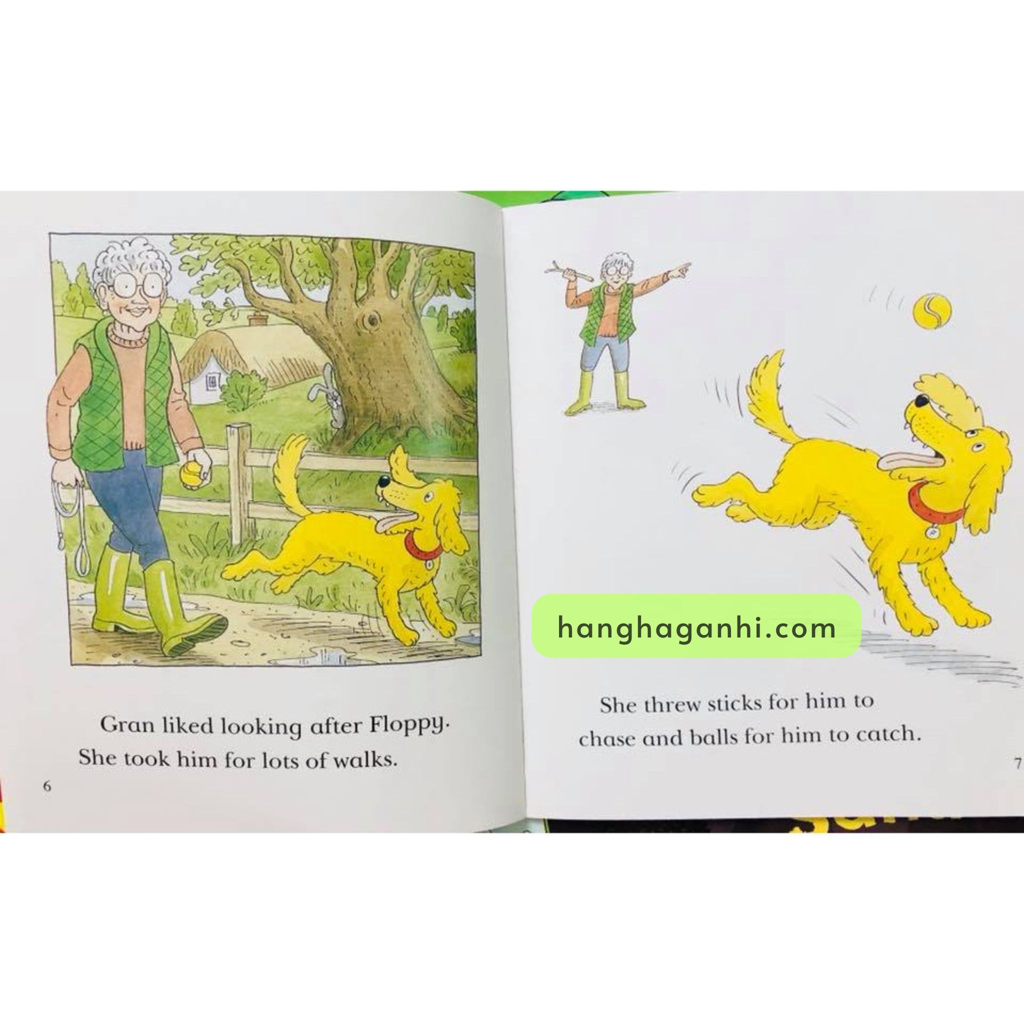 Oxford reading tree - Biff, Chip & Kipper Level 4-6 (Sách nhập) - 25 quyển + File Mp3_thumbnail_17