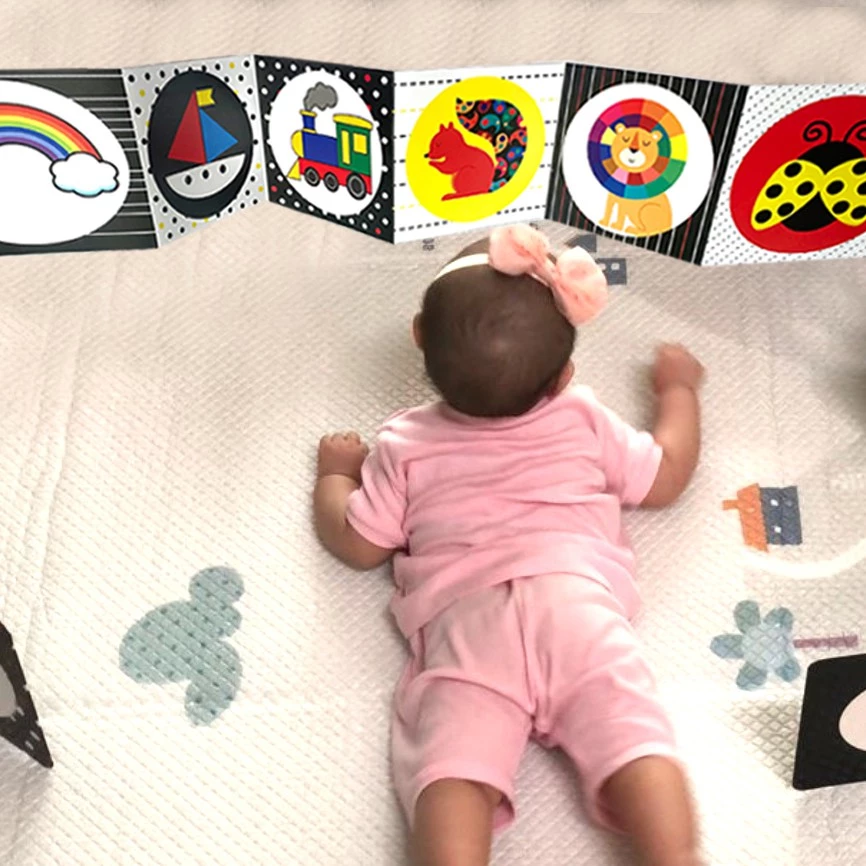 Bộ thẻ gấp kích thích thị giác_thumbnail_2