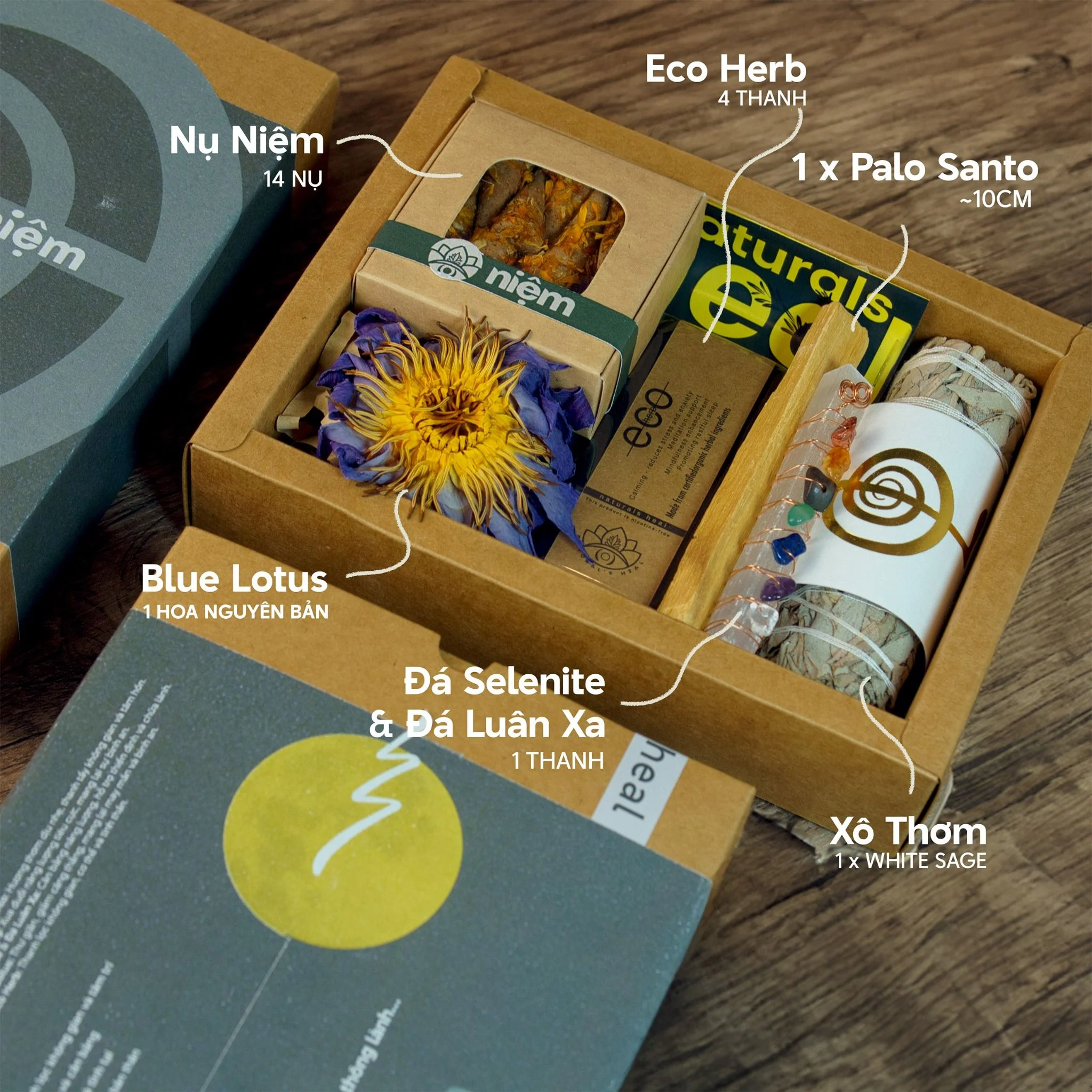 Thông Niệm: Bộ Thanh Tẩy Năng Lượng - Bảo Vệ, Cân Bằng & Thu Hút May Mắn