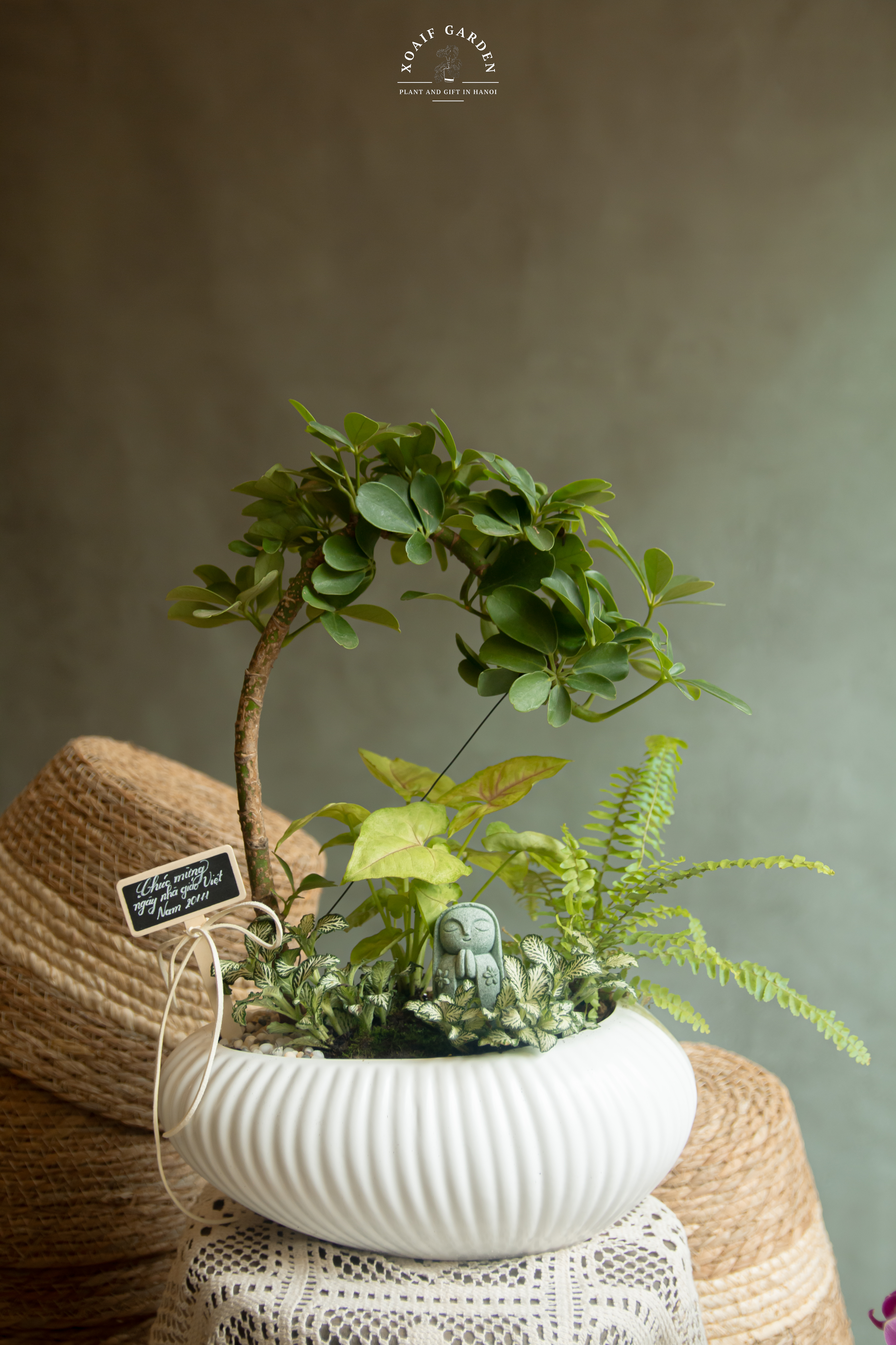 SET MIX PHONG THỦY NGŨ GIA BÌ BONSAI