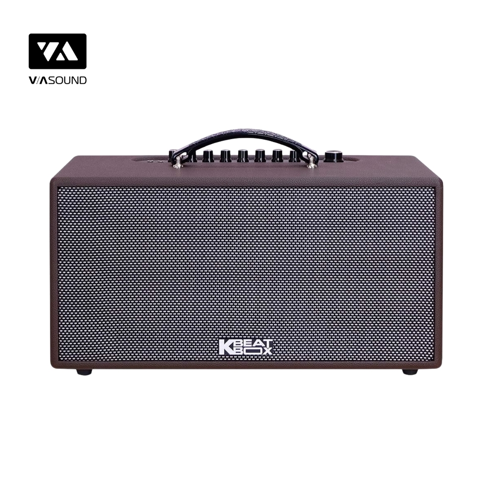 Loa Xách Tay ACNOS CS391