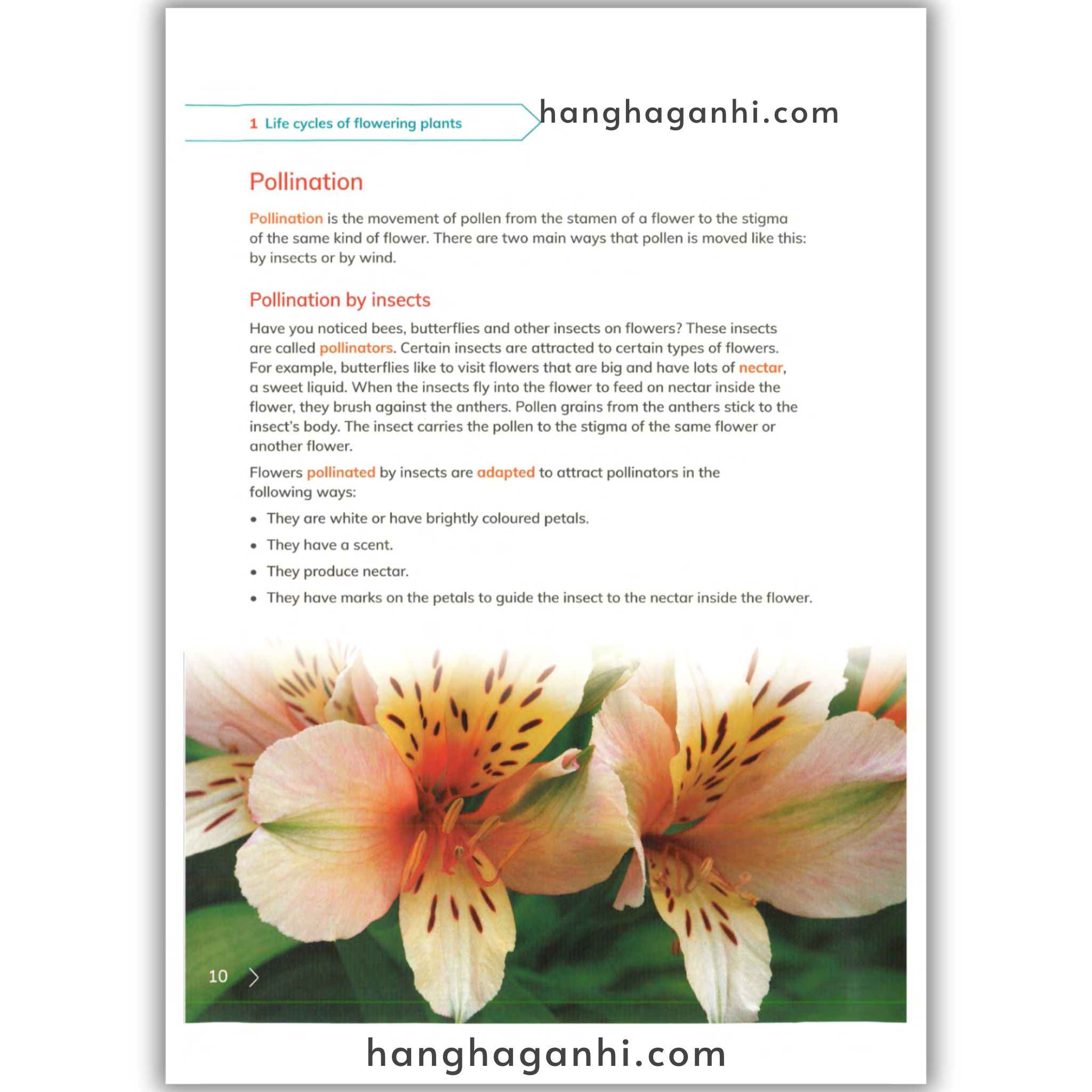 Cambridge Level 5 Primary Science Learner’s Book 2nd edition 2021_thumbnail_3