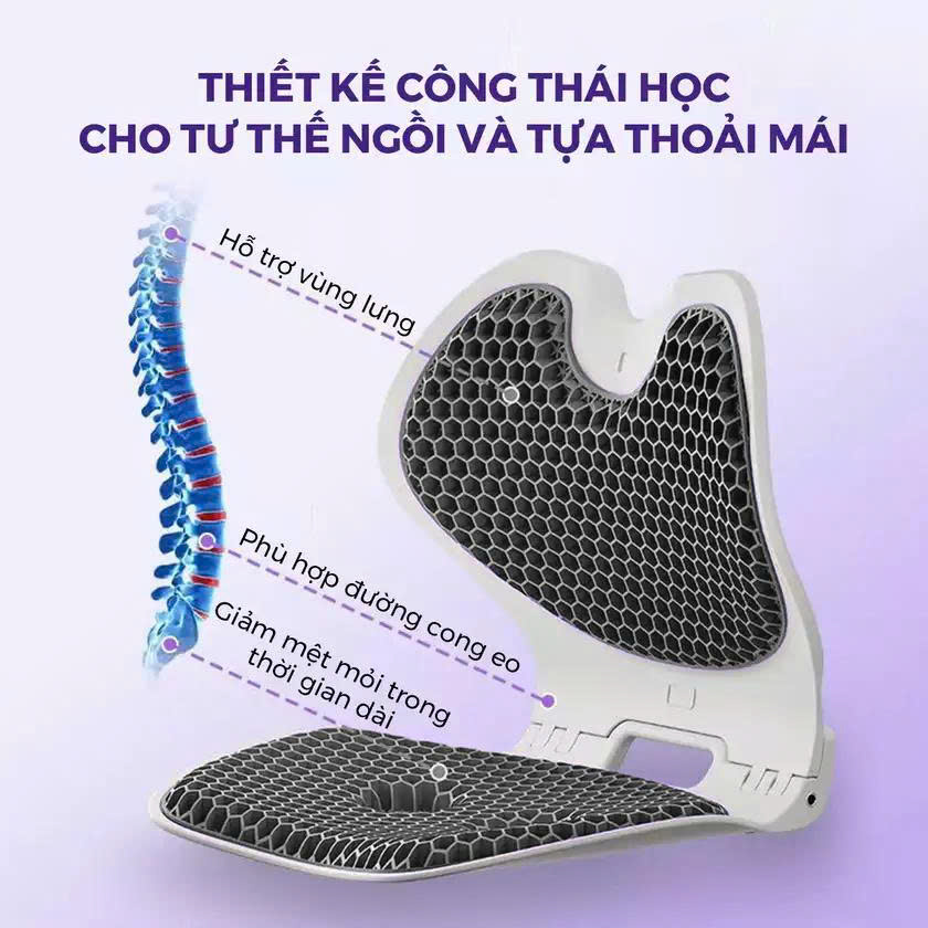 Ghế Chỉnh Dáng EGO HABANA_thumbnail_5