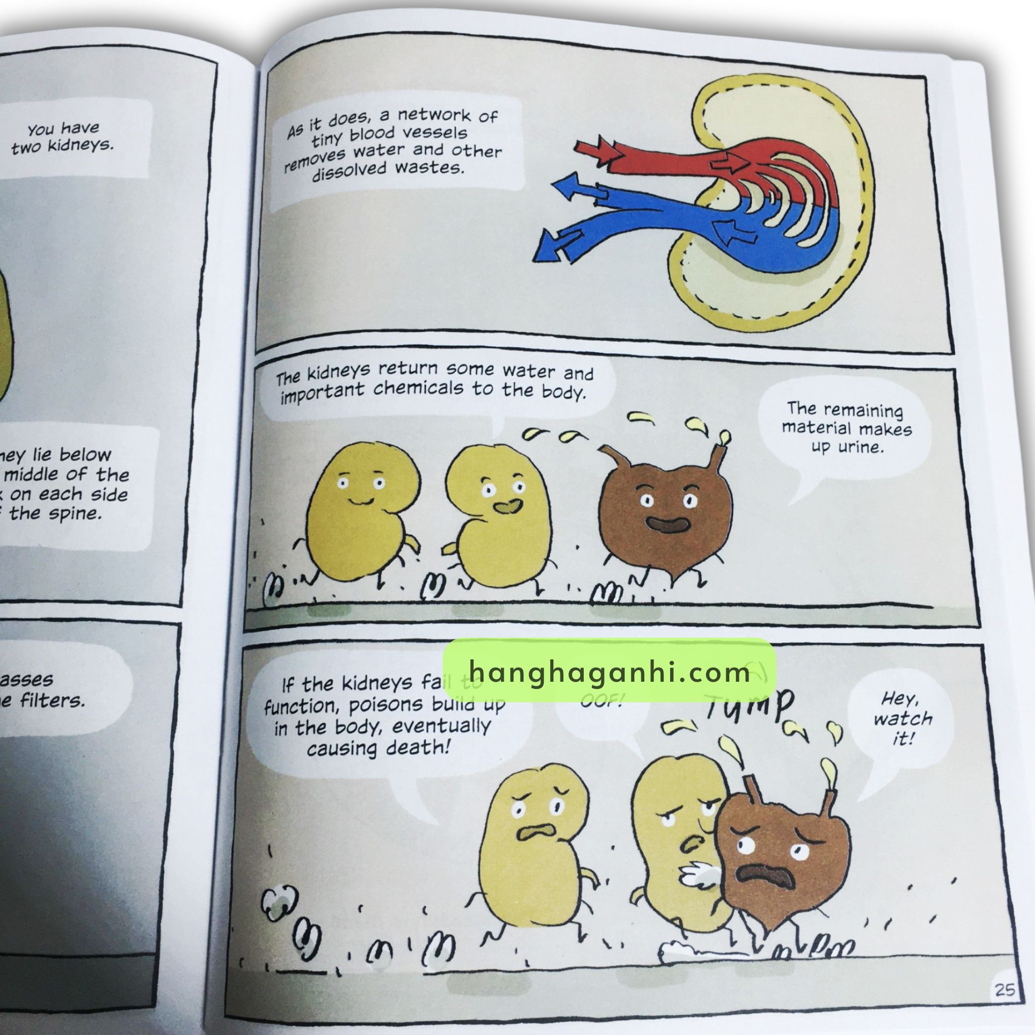 Building Block Science Bộ 32 cuốn Sách Nhập Khẩu kèm file nghe_thumbnail_11