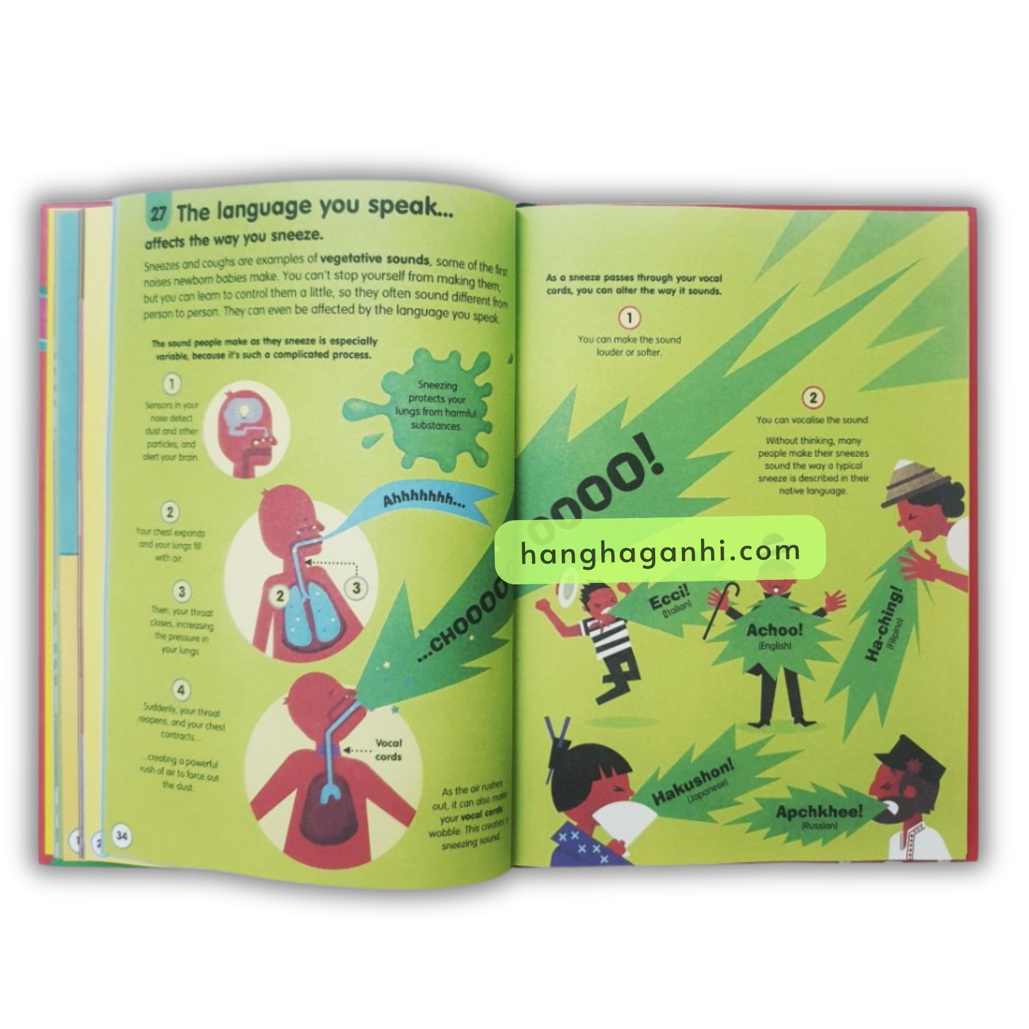 100 Things To Know About Usborne – 11 quyển Bìa cứng [Sách Nhập Khẩu]_thumbnail_4