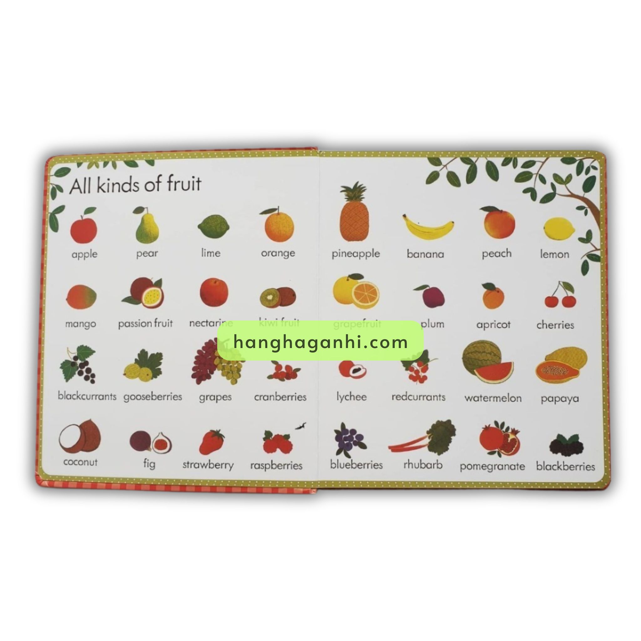 Usborne My First Word Book – Trọn Bộ 5 cuốn ( kèm Audio )_thumbnail_4