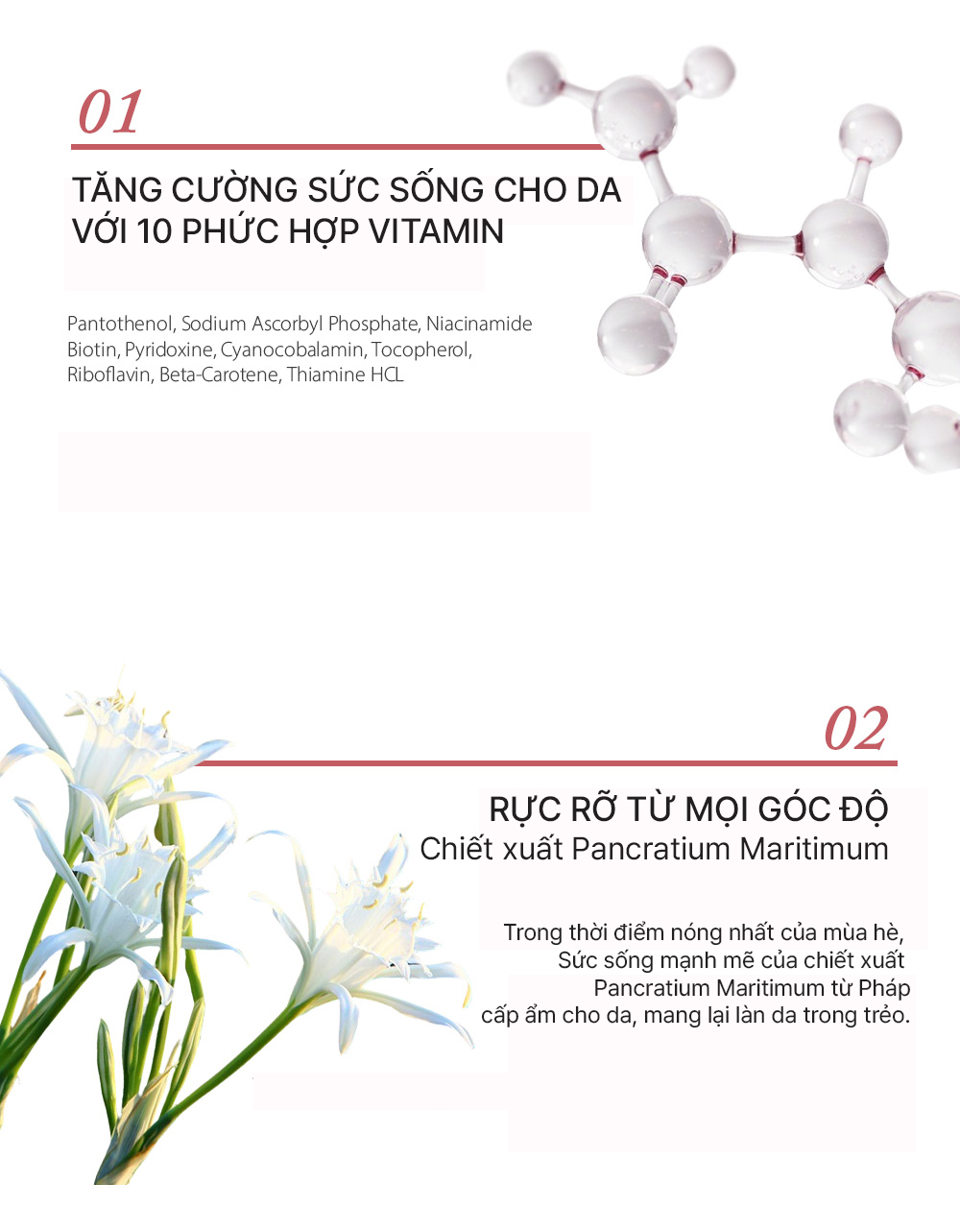 Tinh Chất Dưỡng Chống Lão Hóa, Giúp Da Sáng Mịn Đàn Hồi Cấp Ẩm Elravie Pro Glow Ampoule 50ml_thumbnail_5