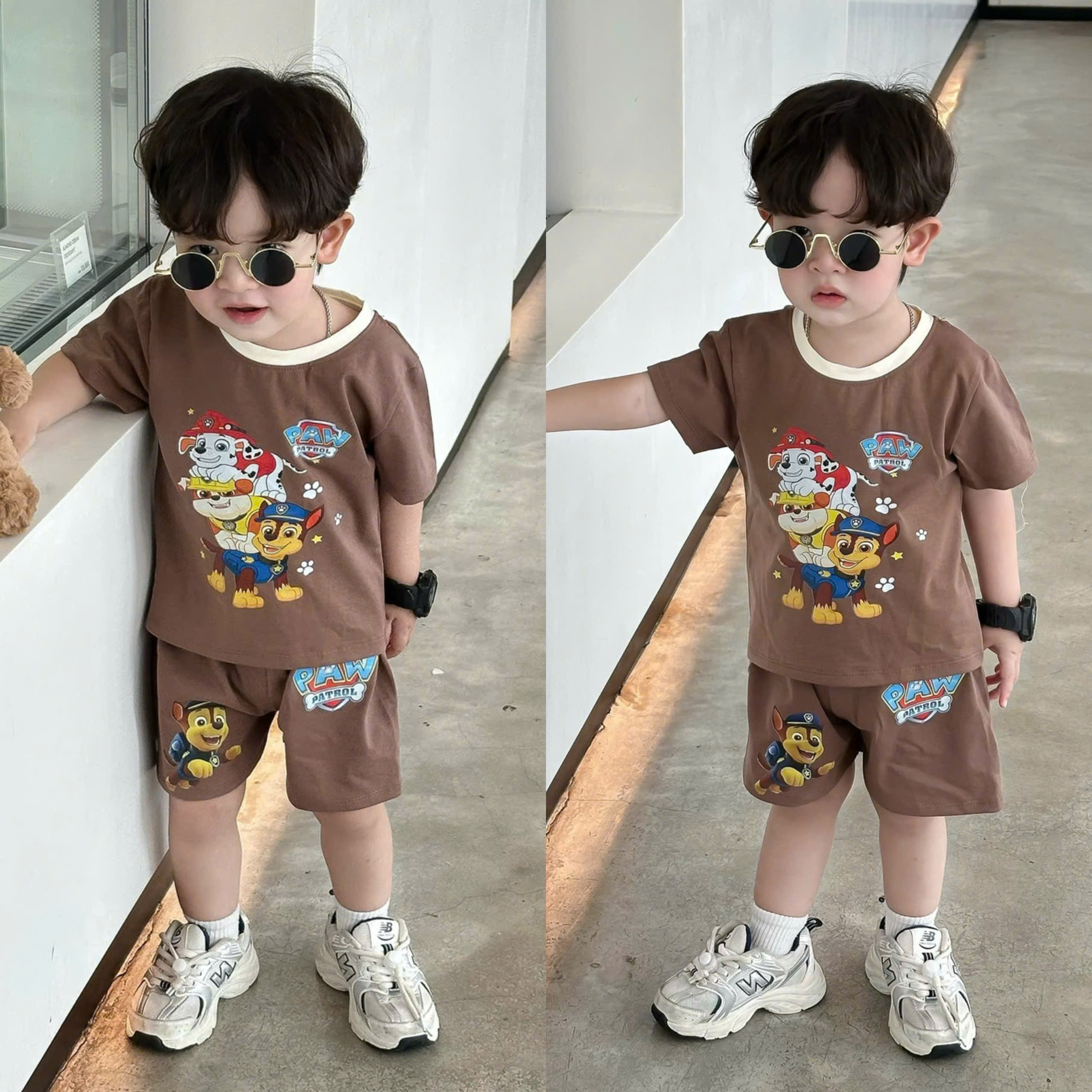 Q57 SET 2 BỘ CỘC CHÓ CỨU HỘ NÂU SỌC - A100.295