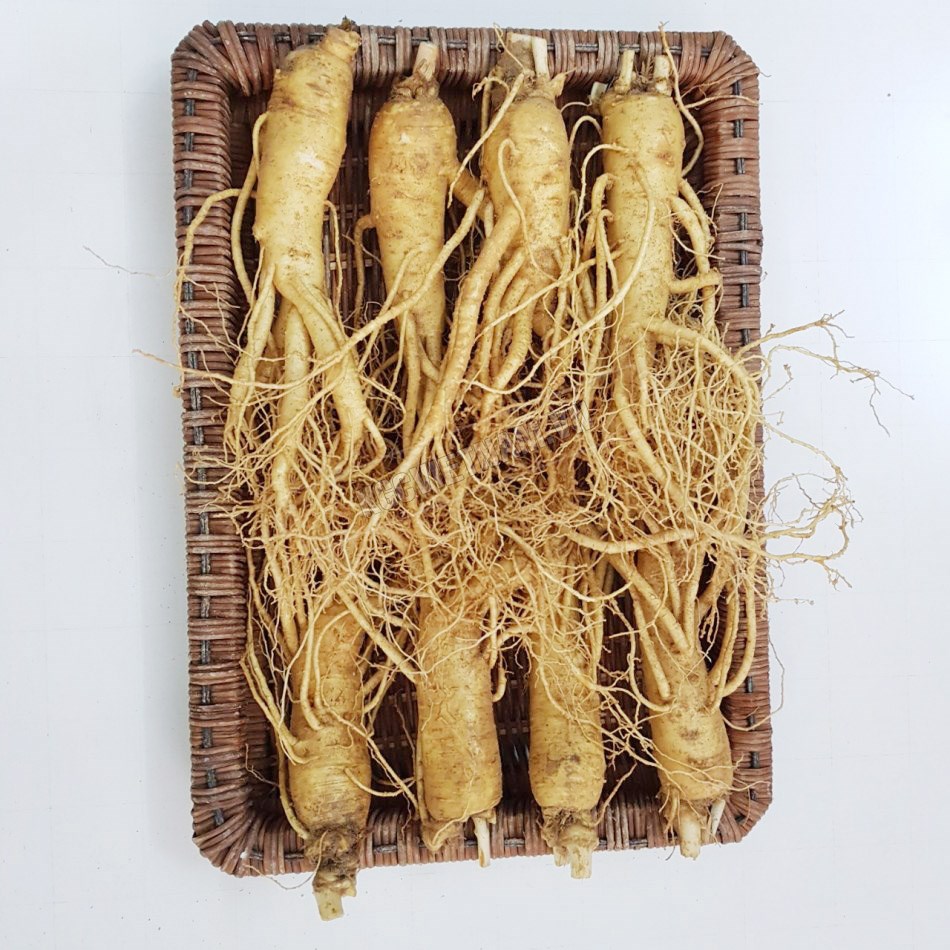 Sâm thân dài 8 củ 1kg