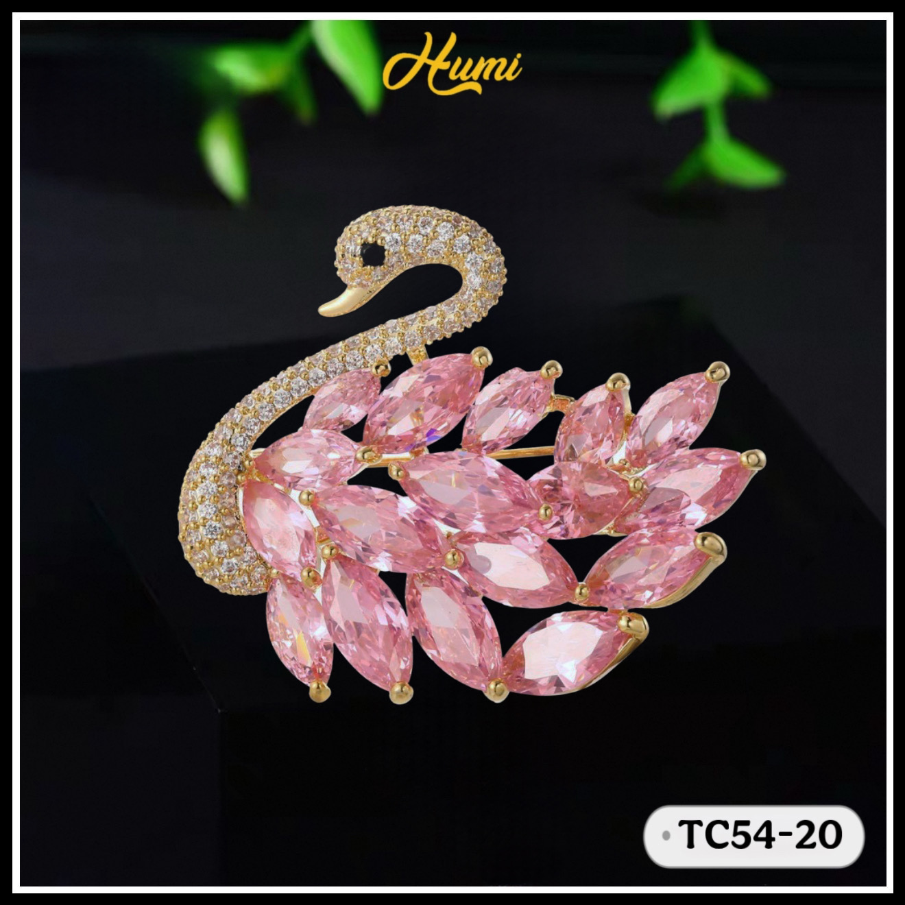 TRÂM CÀI THIÊN NGA HỒNG (TC54-20)