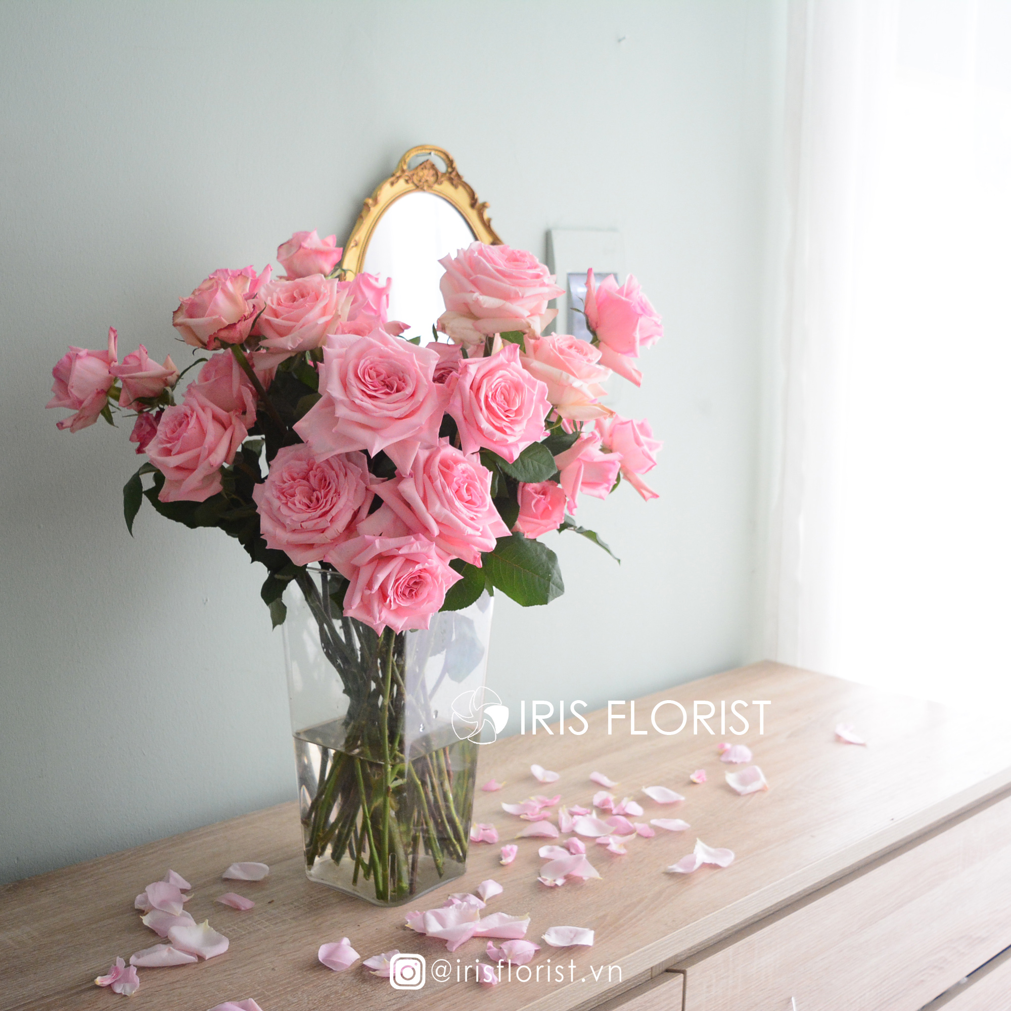 Hoa Ohara Hồng_16