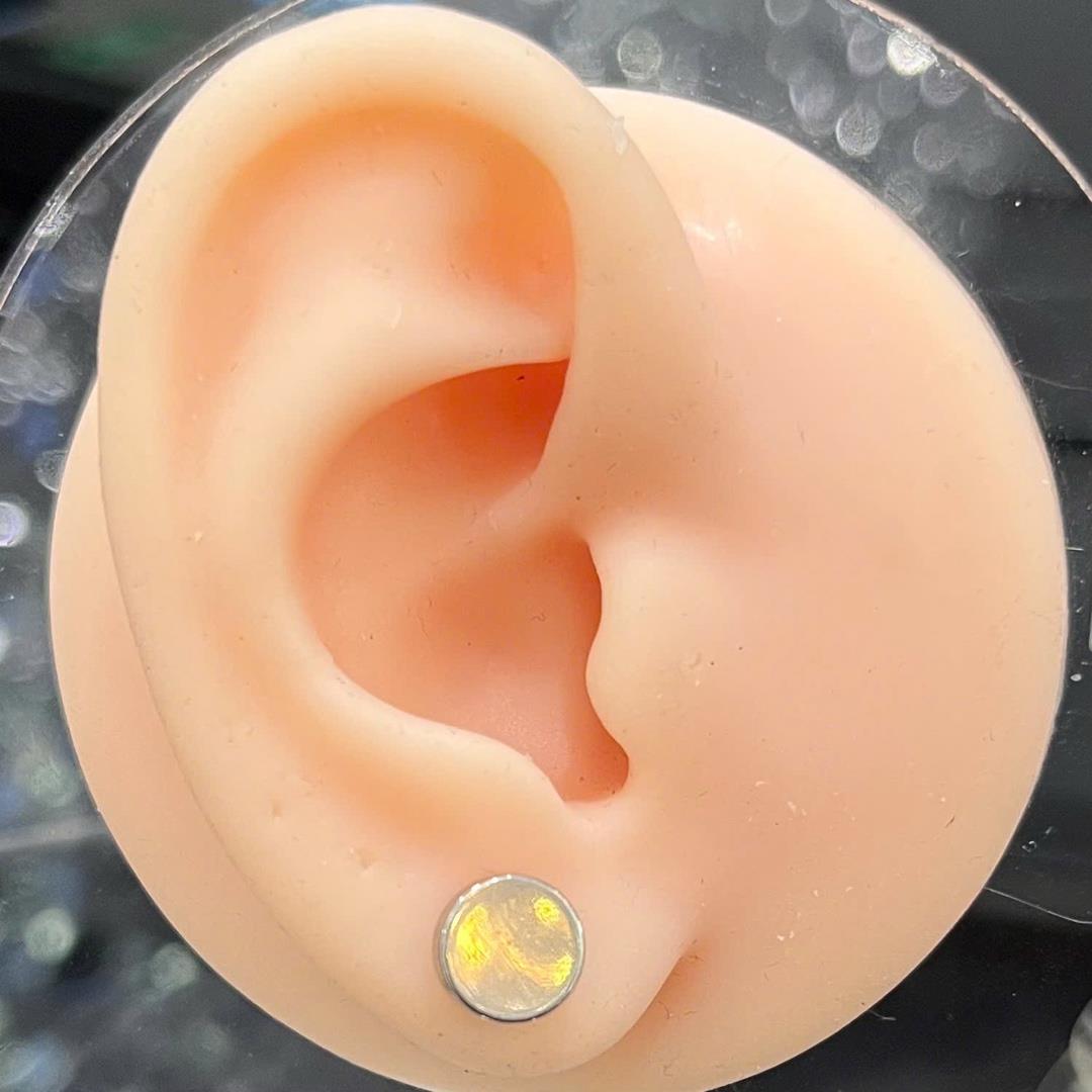 Khuyên kẹp giả nam châm trắng._thumbnail_3