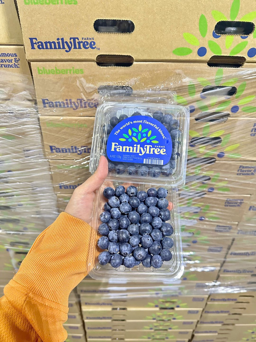 Việt quất_thumbnail_3