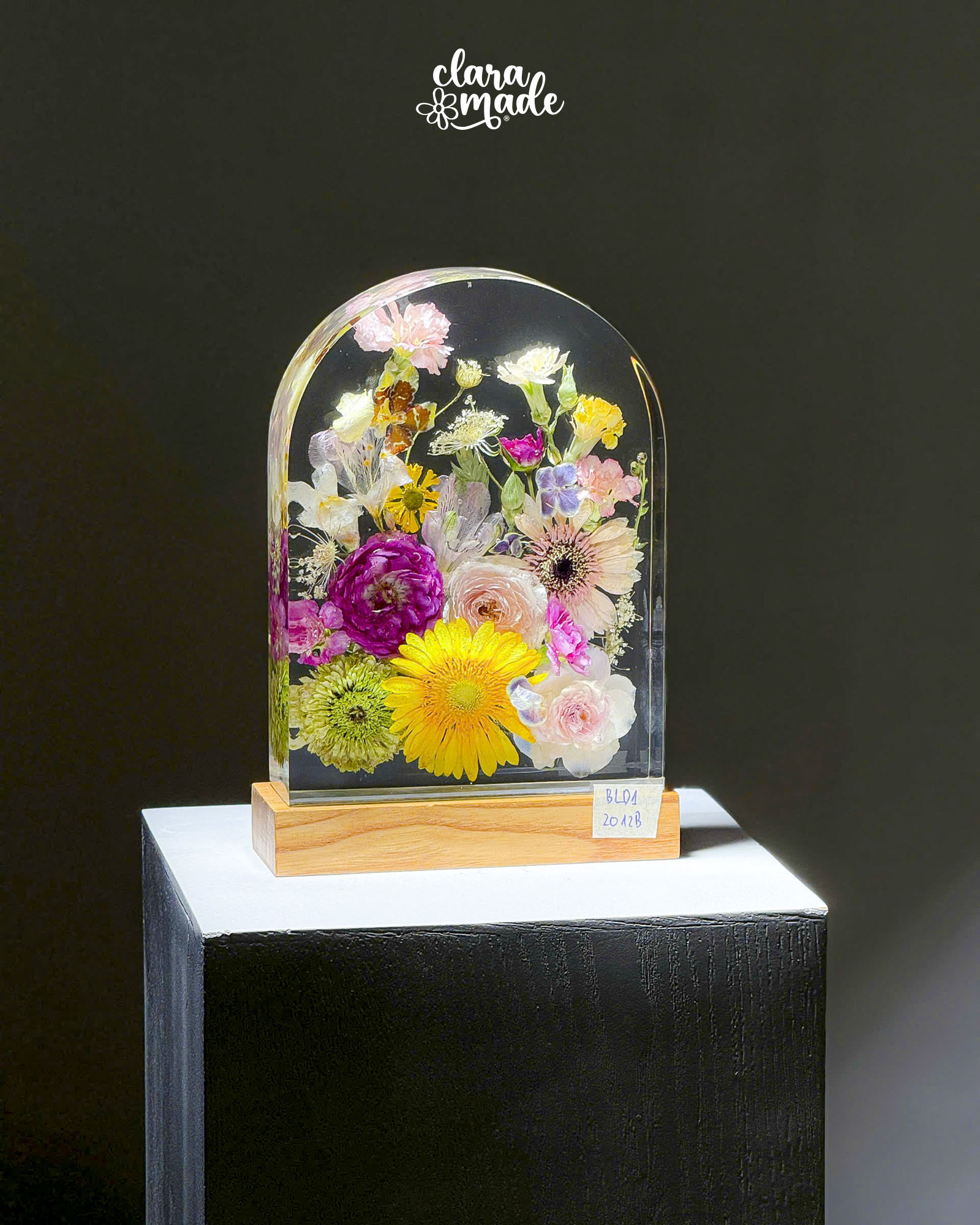 Đèn hoa khô Bloomlight BLD12012B