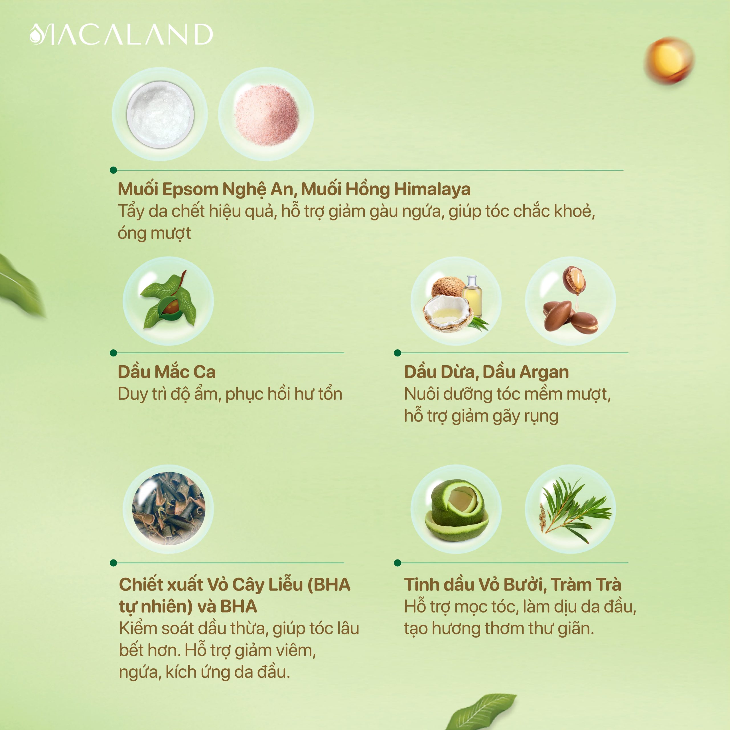 thành-phần-tẩy-tế-bào-chết-da-đầu