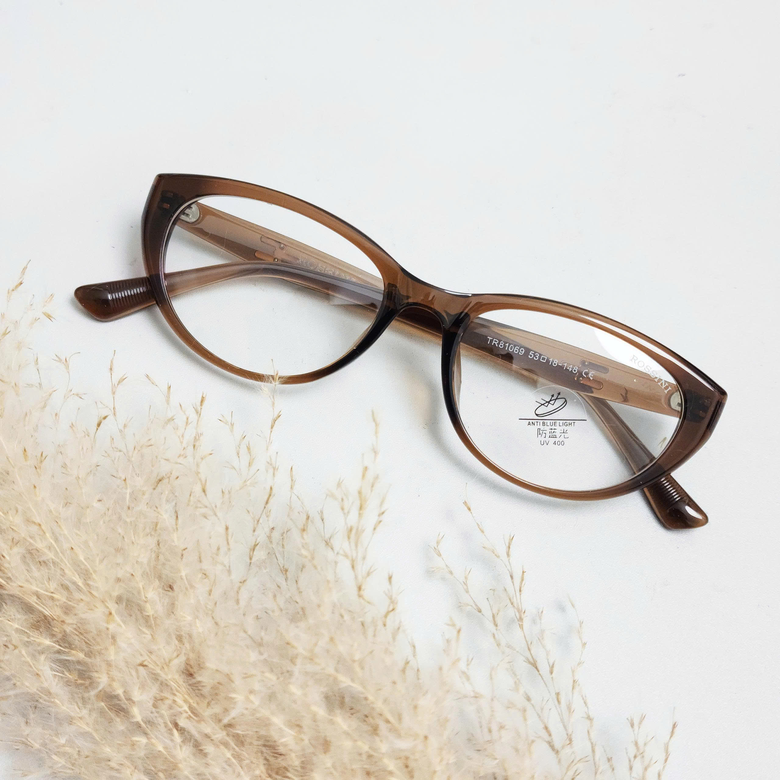 Kính gọng Rossini - ROS81069-C5