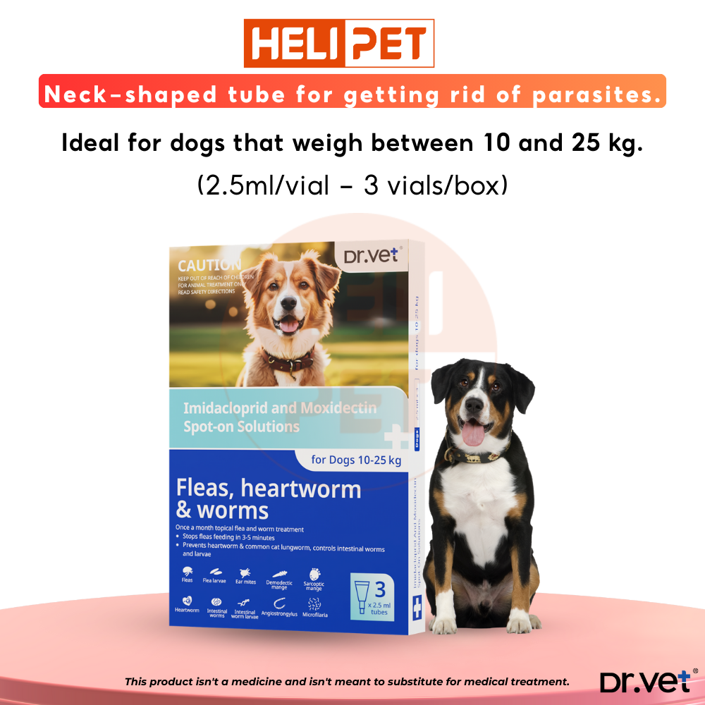 DR.VET flea, tick, and worm treatment drops for dogs._thumbnail_6