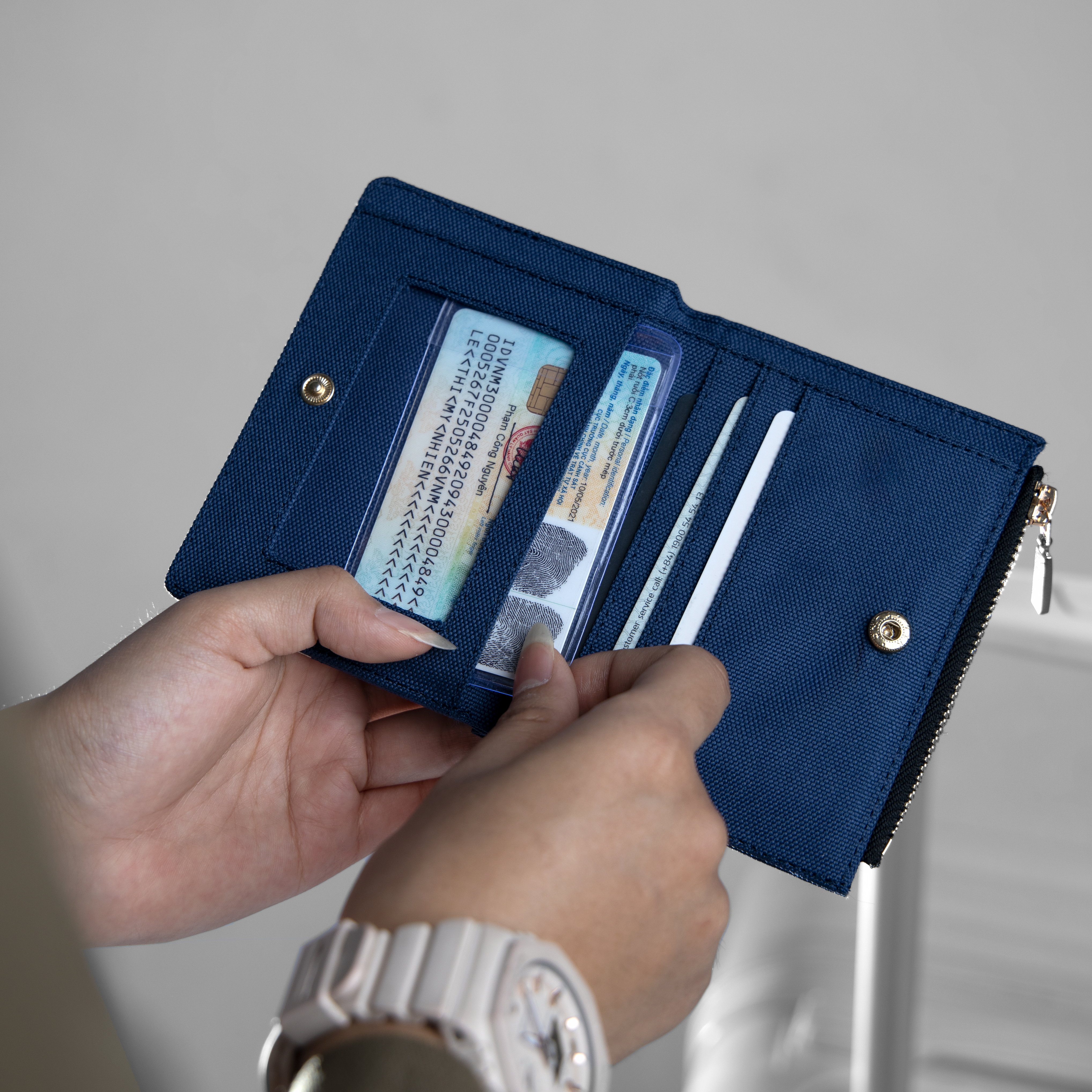 VÍ ZILLA_thumbnail_10