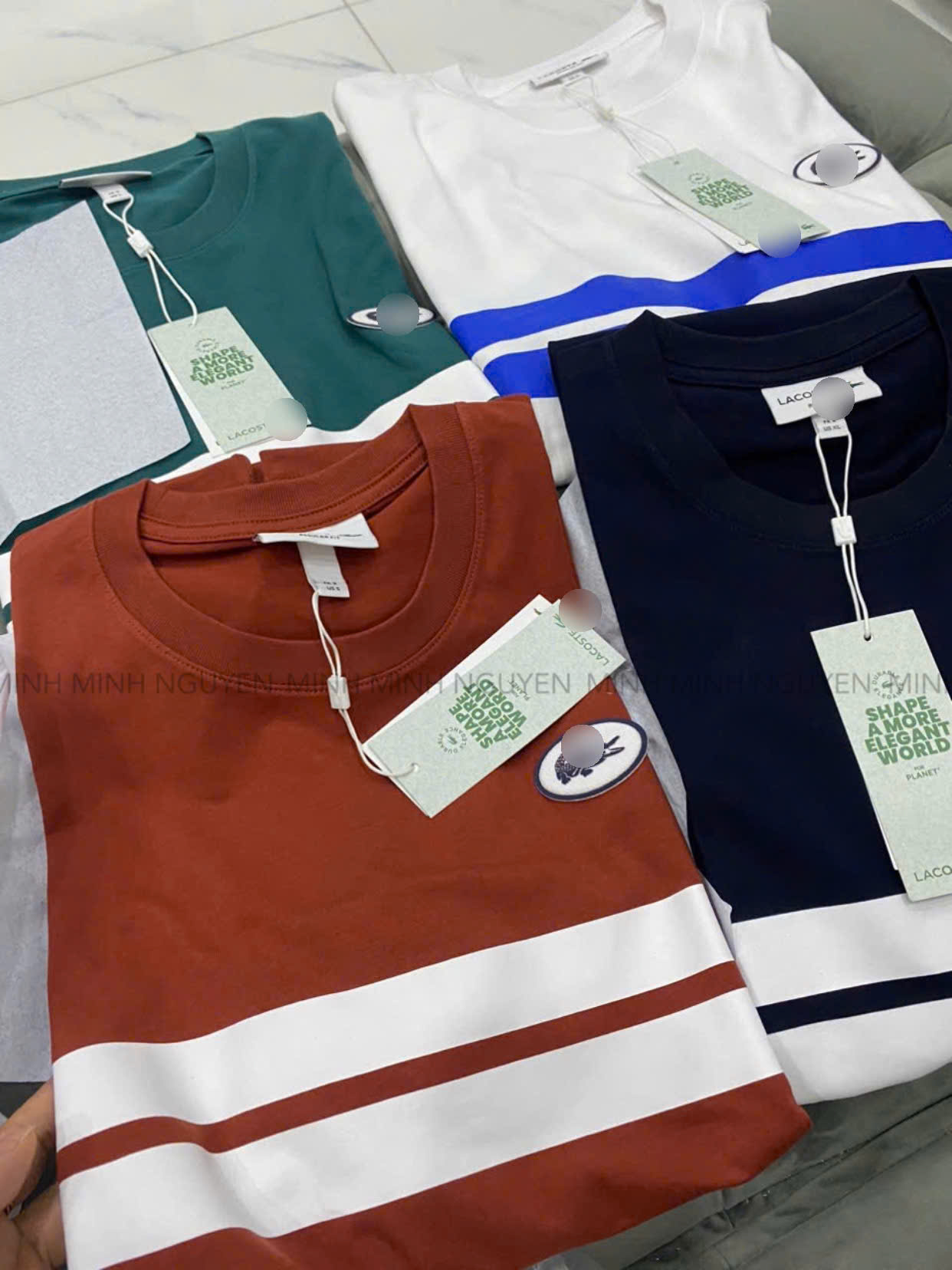 AO THUN CÁ SẤU_thumbnail_24