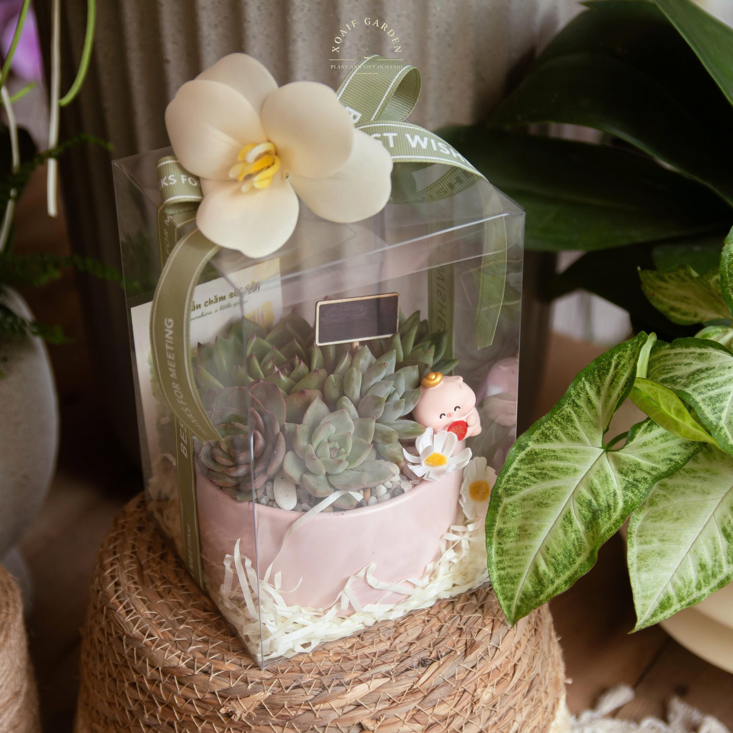 HỘP QUÀ SEN ĐÁ MIX SIZE M_thumbnail_2