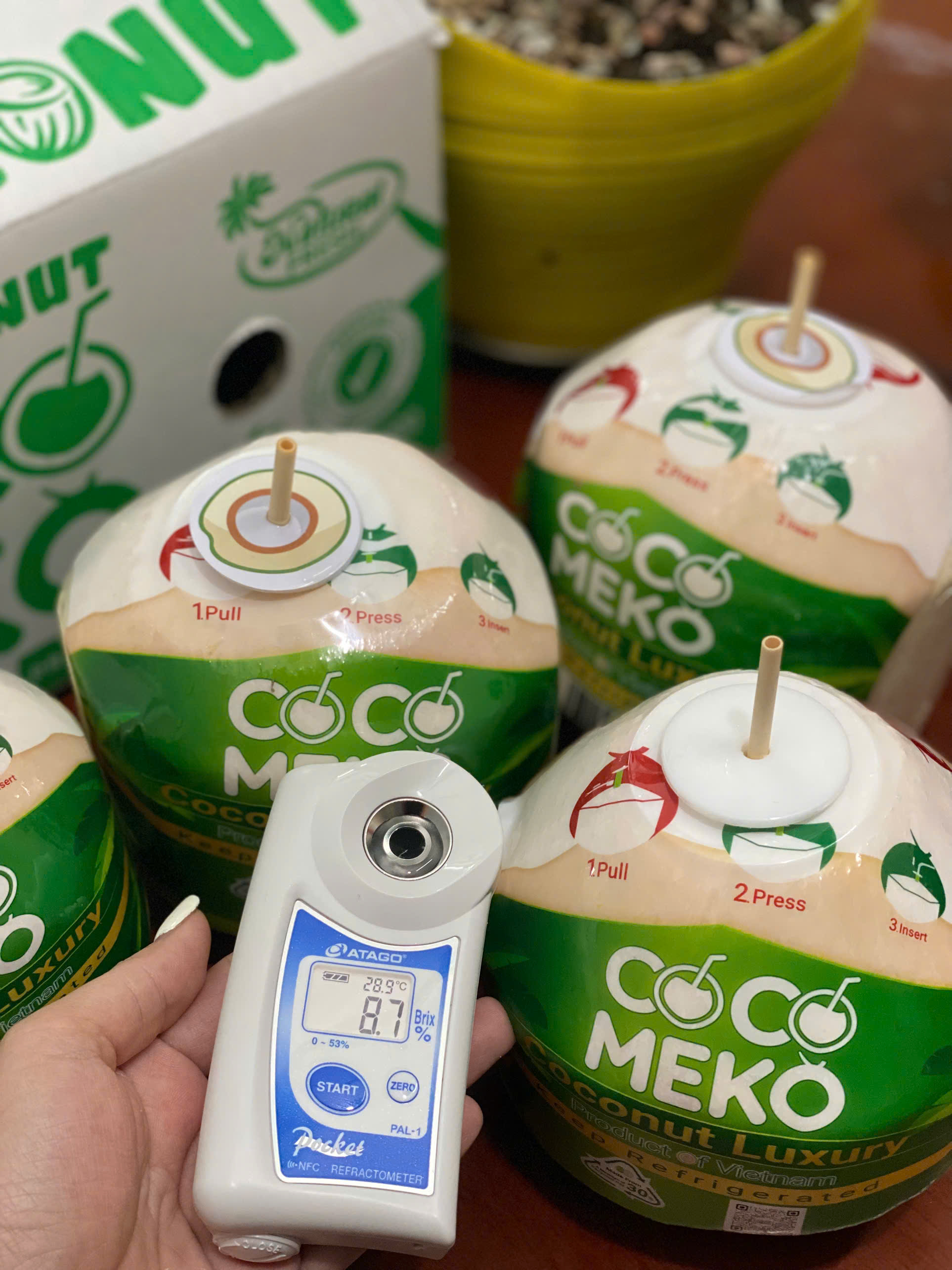 COCO MEKO LUXURY COCONUT_thumbnail_4