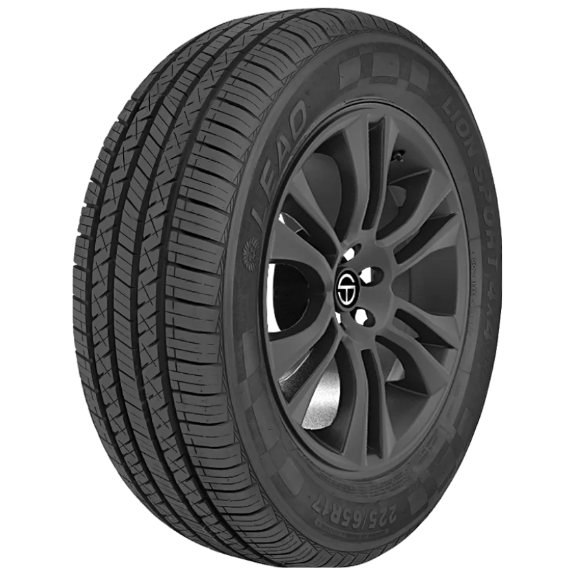 LION SPORT 4×4 HP3_11