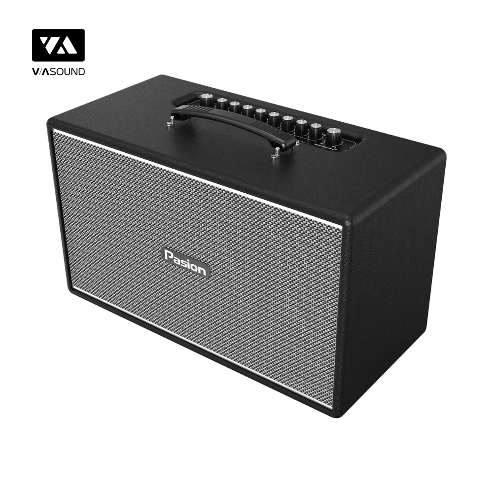 Loa Xách Tay PARAMAX PASION ENZO_thumbnail_14