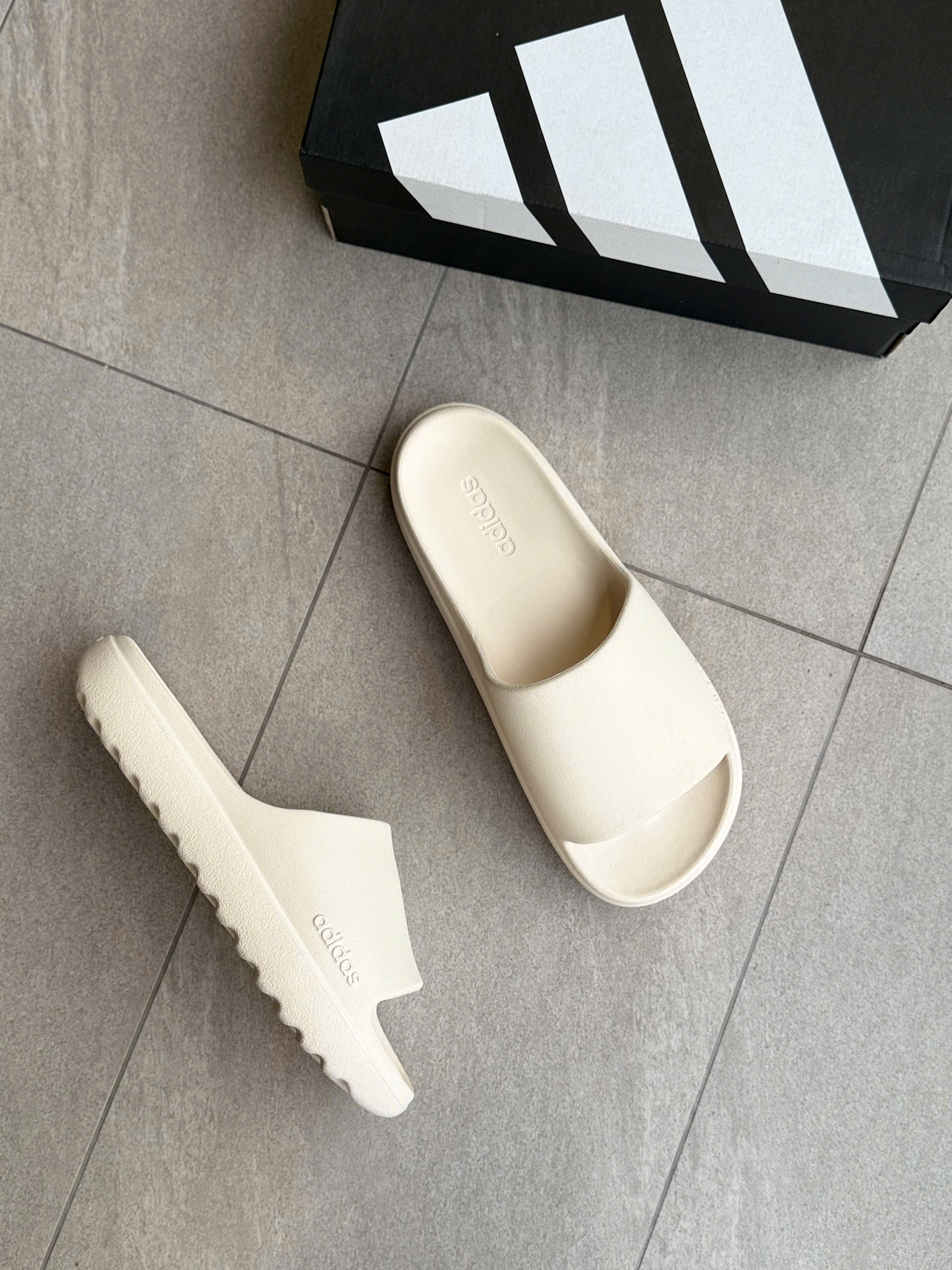 D2 DÉP 4 MÀU_thumbnail_11