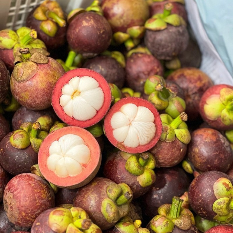 Măng Cụt Thái Lan_thumbnail_1