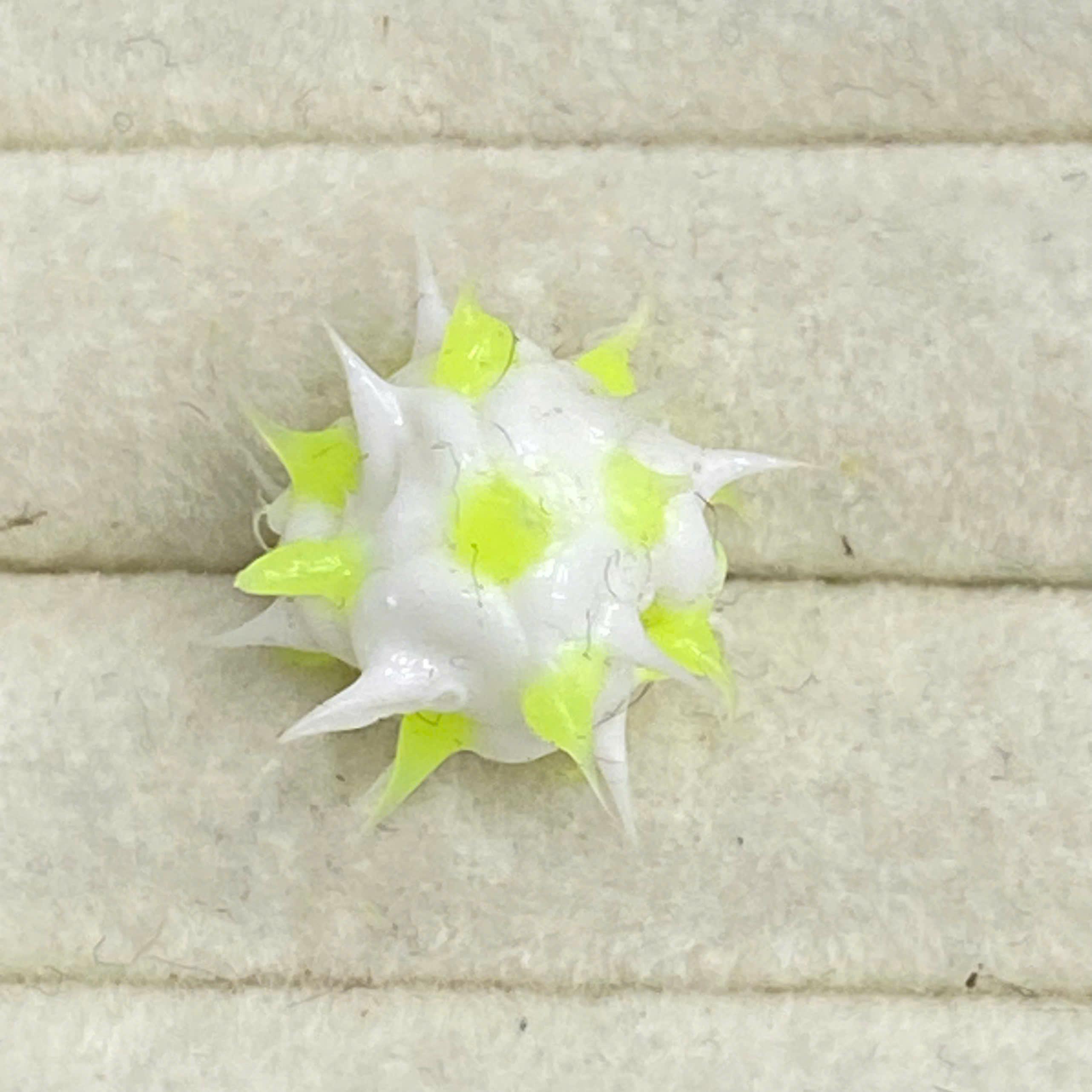 Lưỡi virus trắng xanh