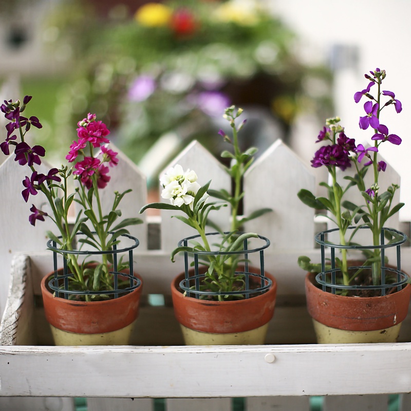 Khung Đỡ Bảo Vệ Cây_thumbnail_3