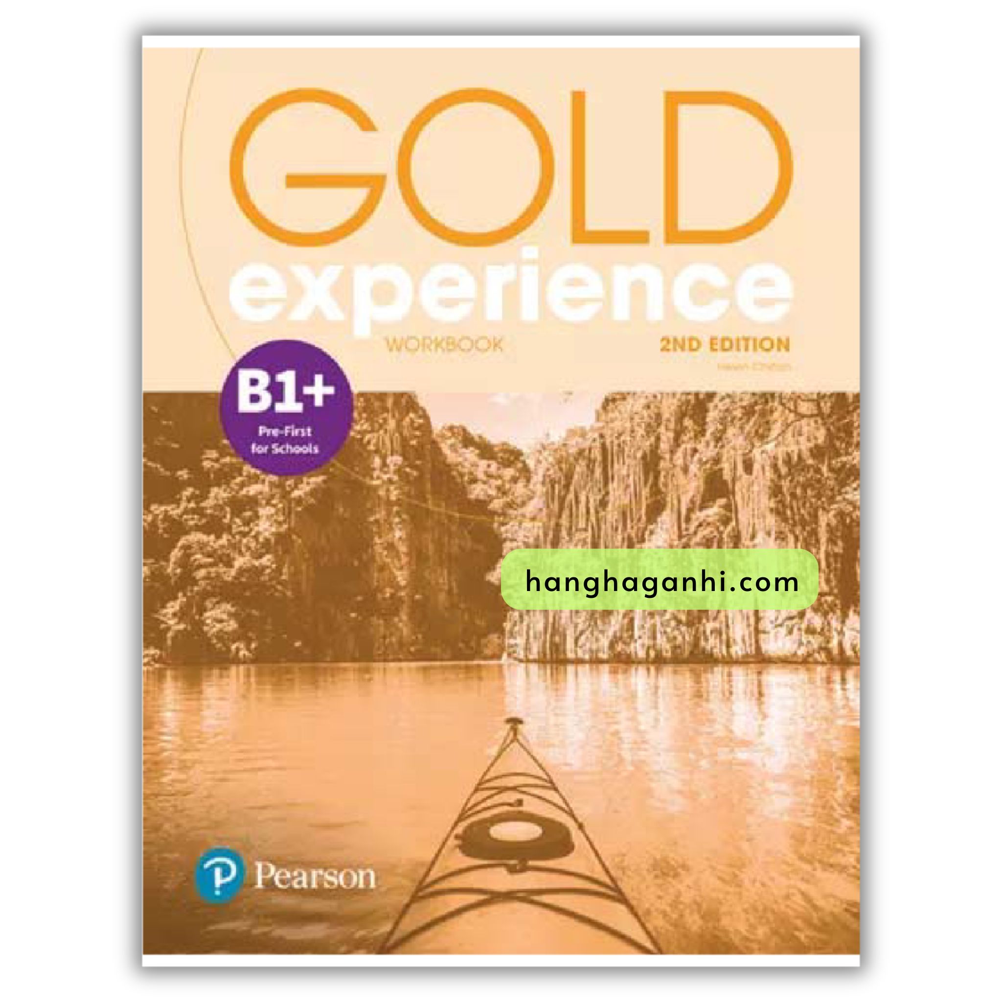 Gold Experience B1+ Workbook 2nd Edition_thumbnail_0