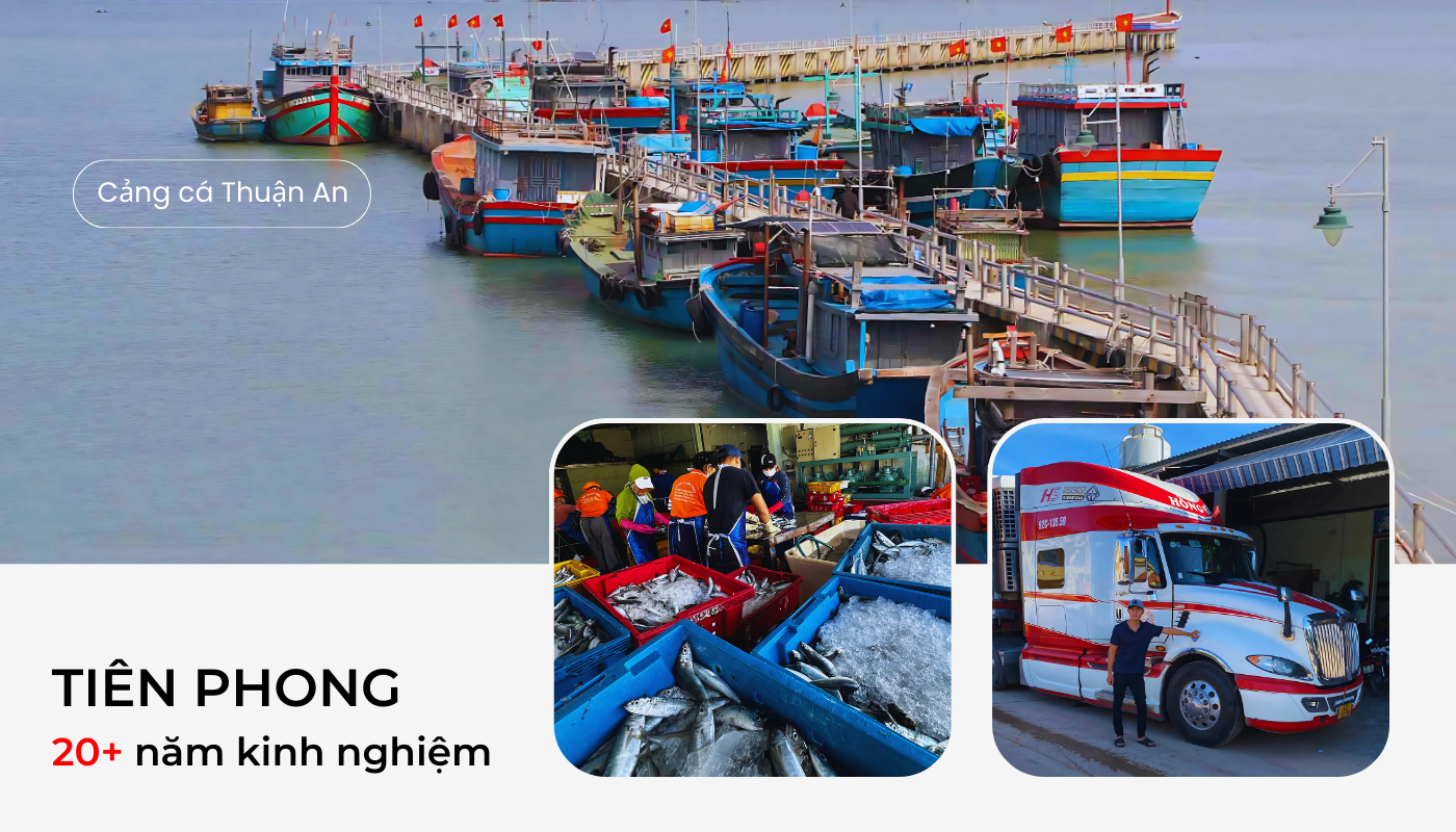 Untitled (1400 x 800 px)(4)