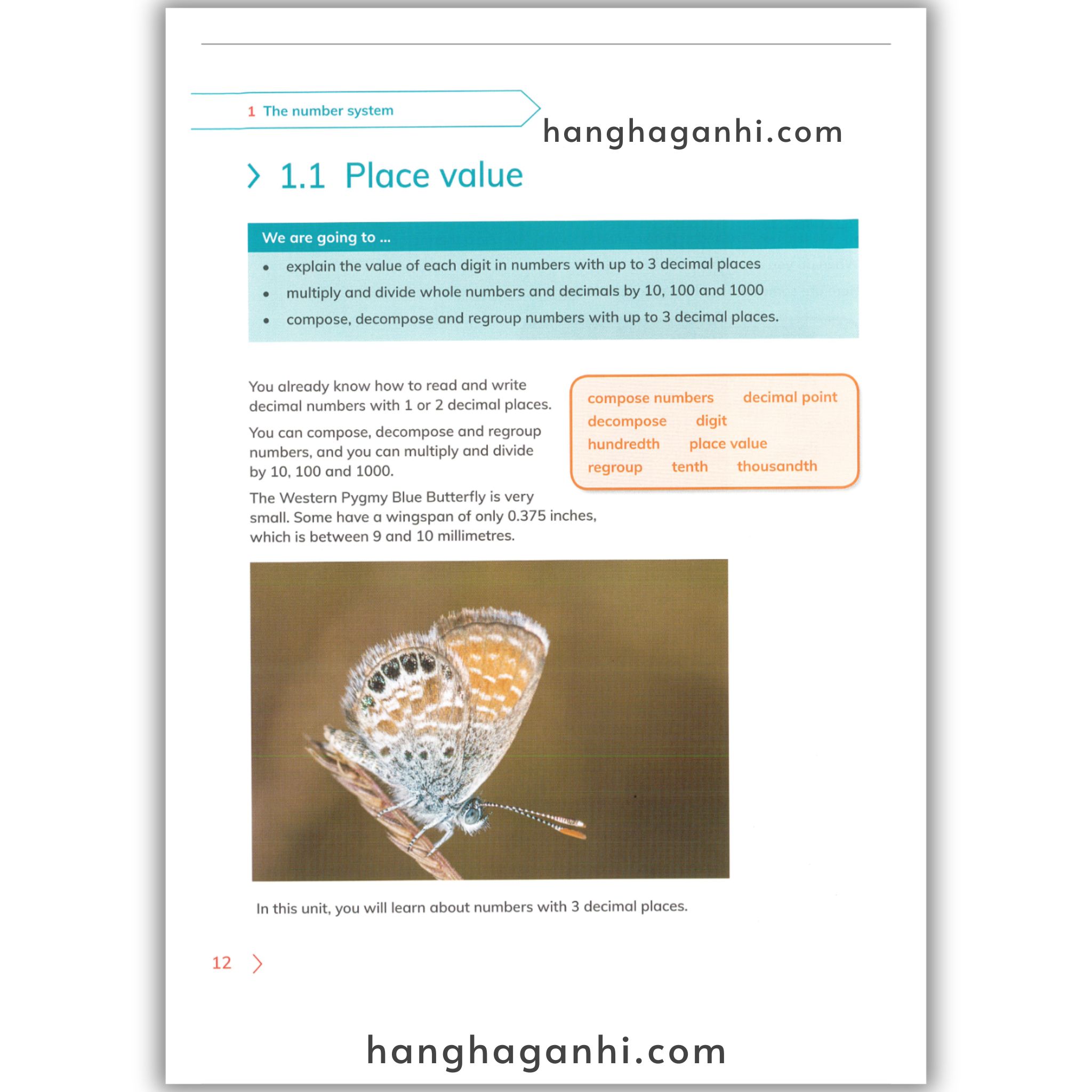 Cambridge Level 6 Primary Mathematics Learner’s Book 2Nd_thumbnail_4