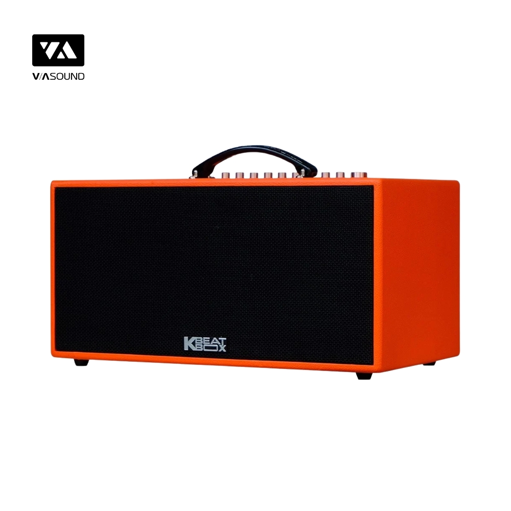 Loa Xách Tay ACNOS CS447