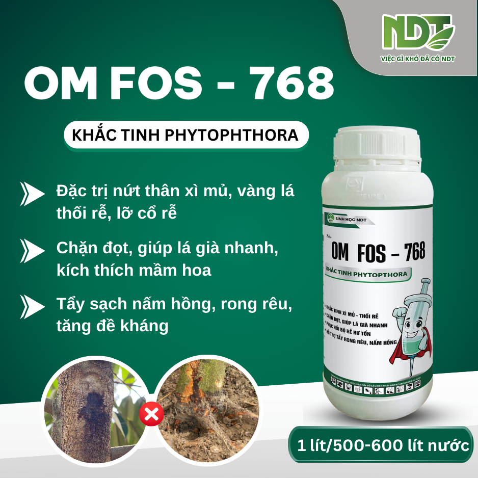 OM FOS 768 CAT_thumbnail_1