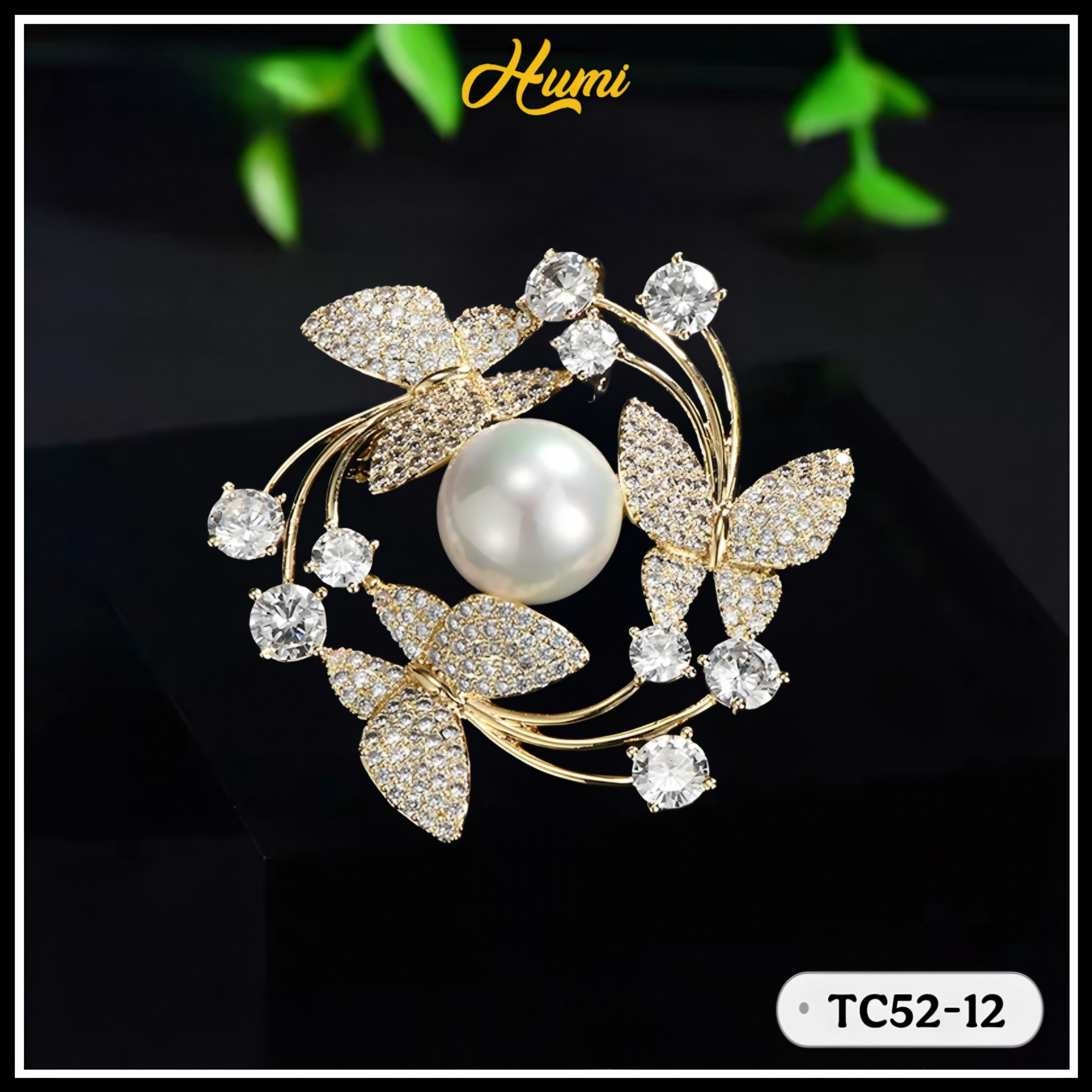 TRÂM CÀI BƯỚM VÒNG NGỌC TRAI (TC52-12)